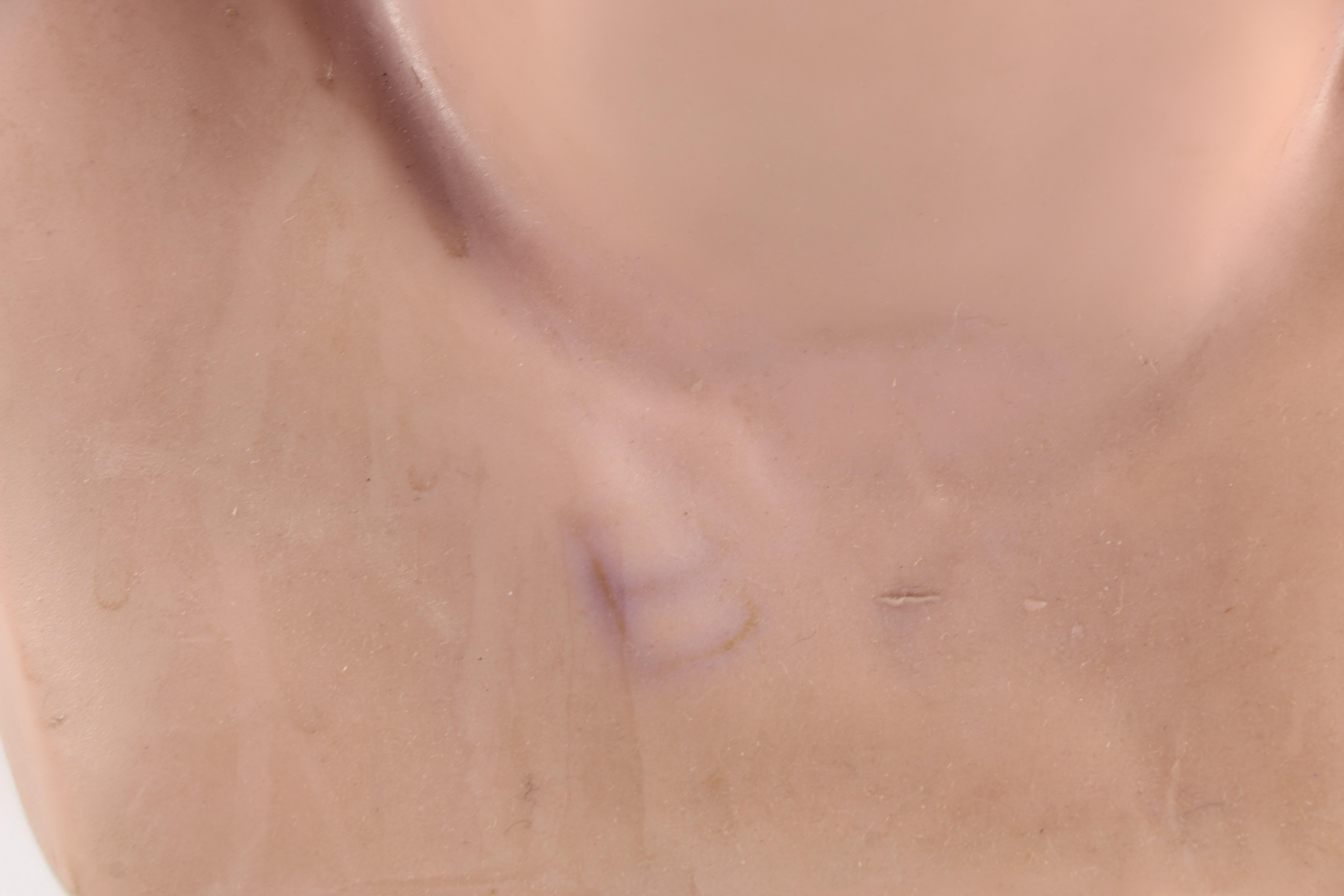 Plastic Mannequin Bust