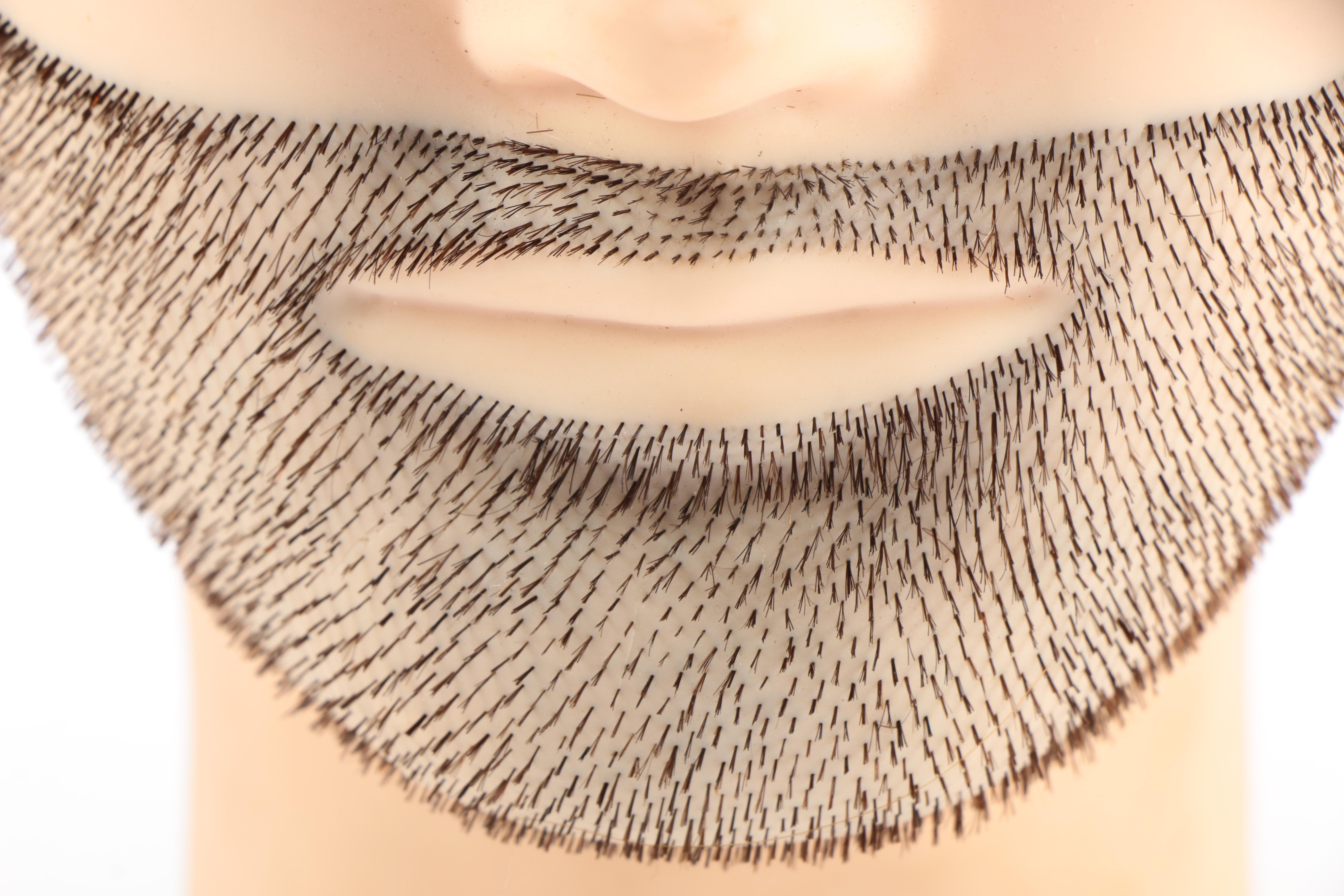 Beautician Mannequin Heads