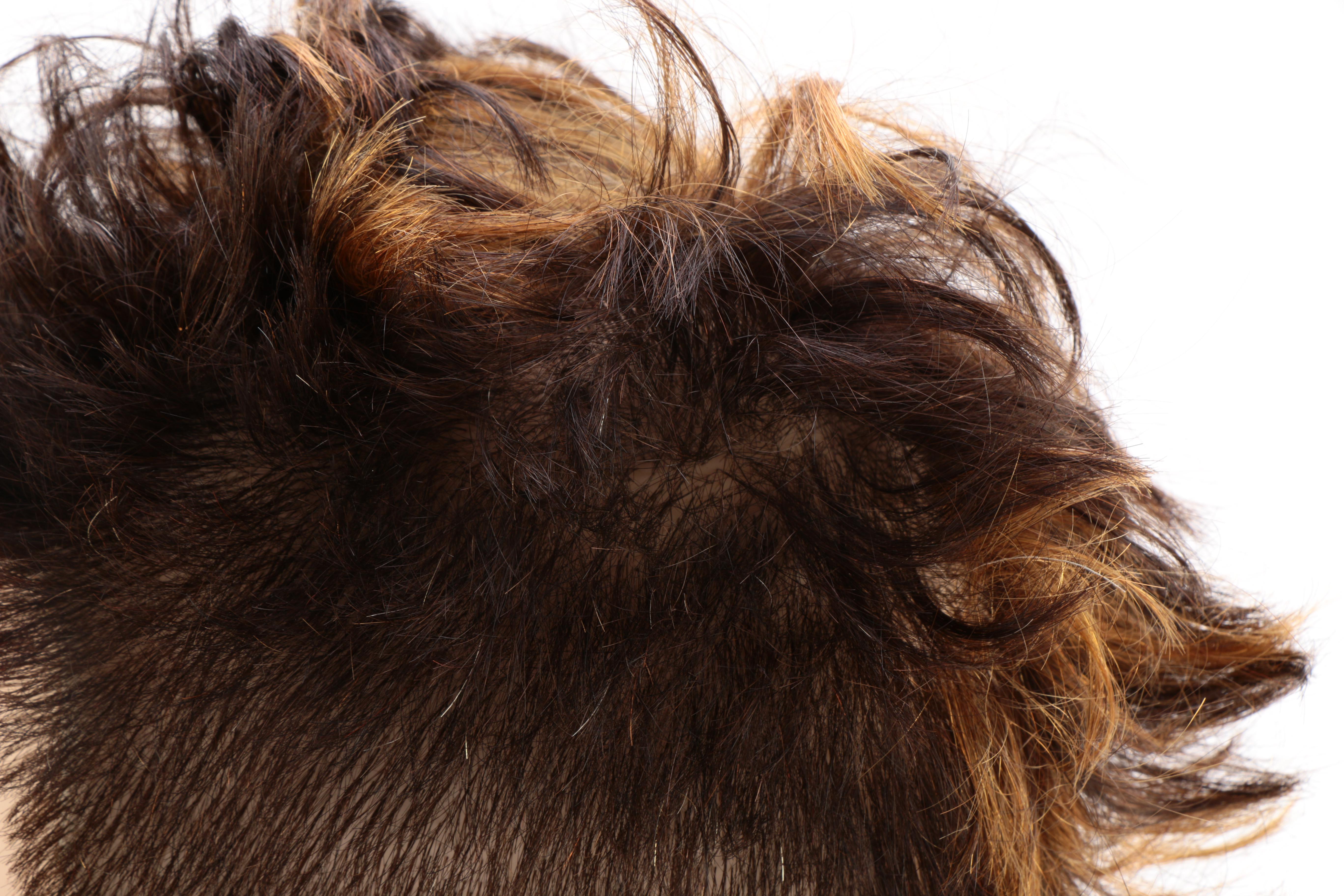 Beautician Mannequin Heads