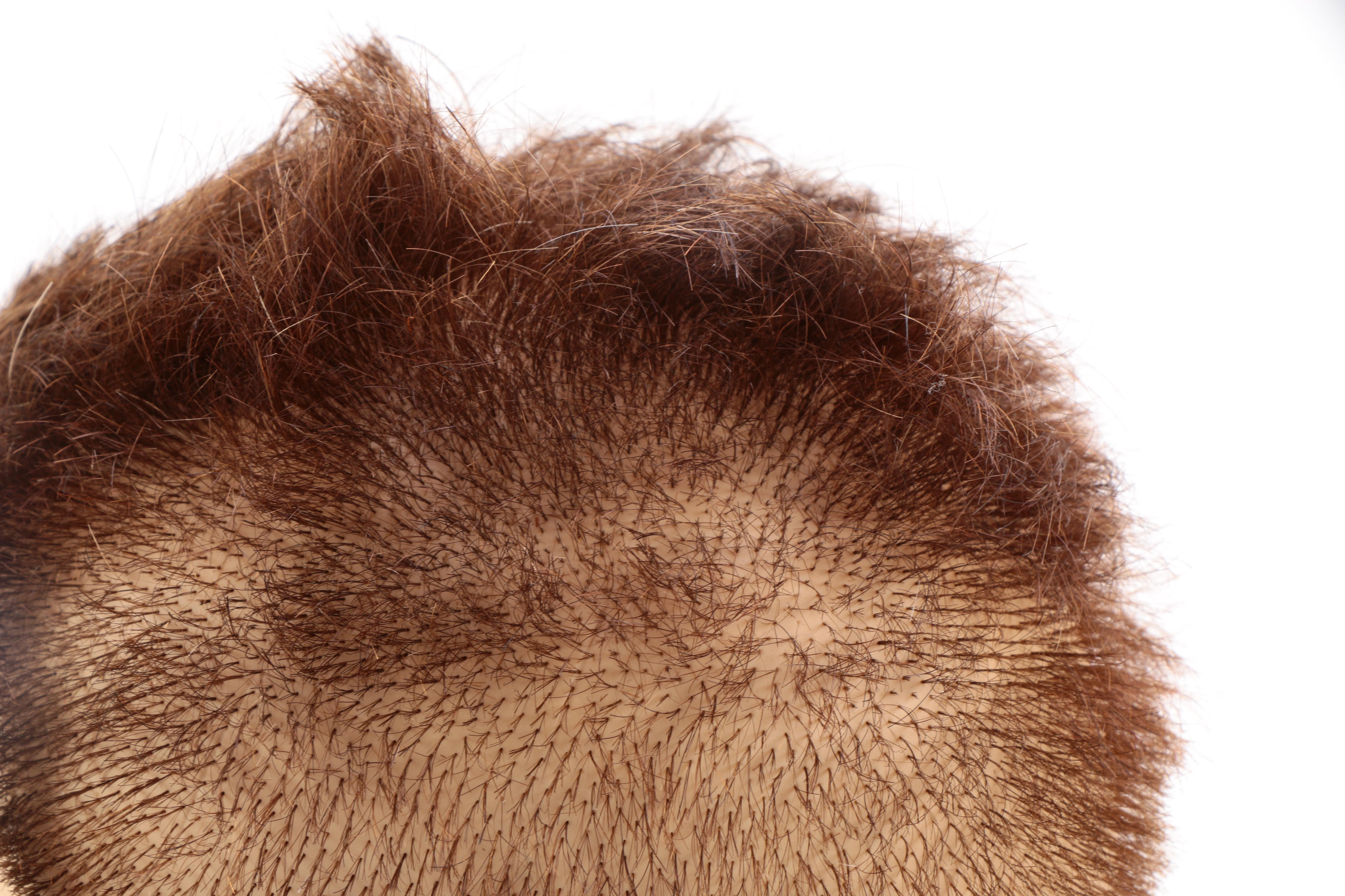 Beautician Mannequin Heads