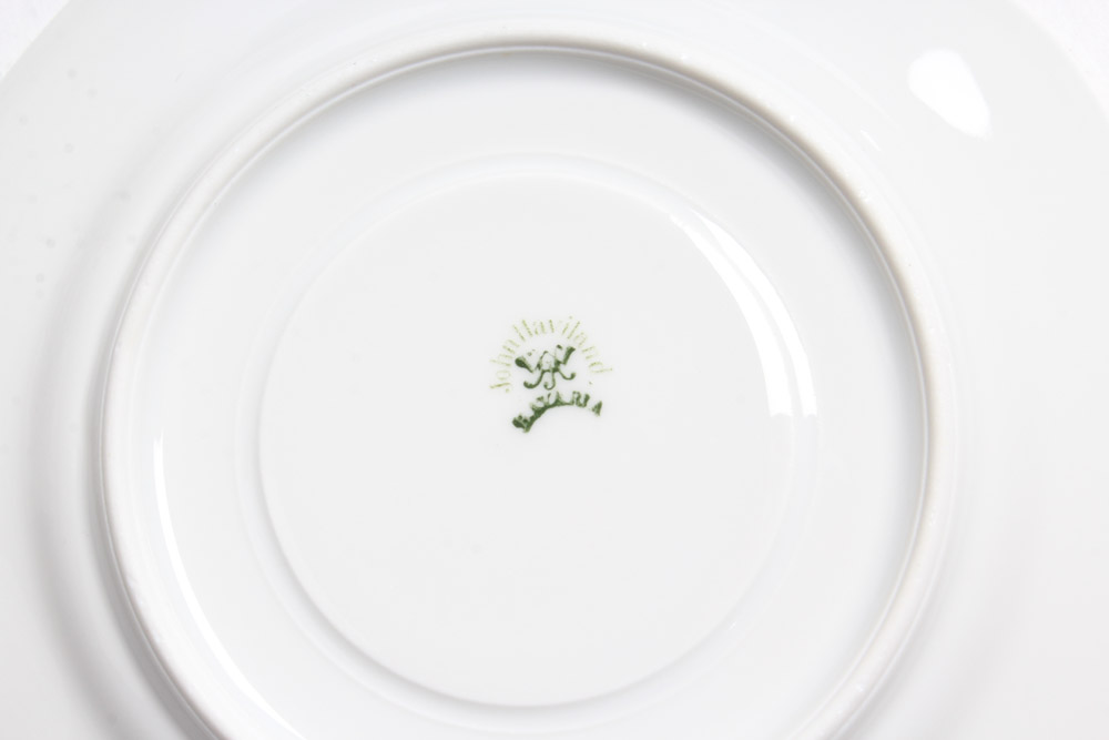 John Haviland Iris Floral China