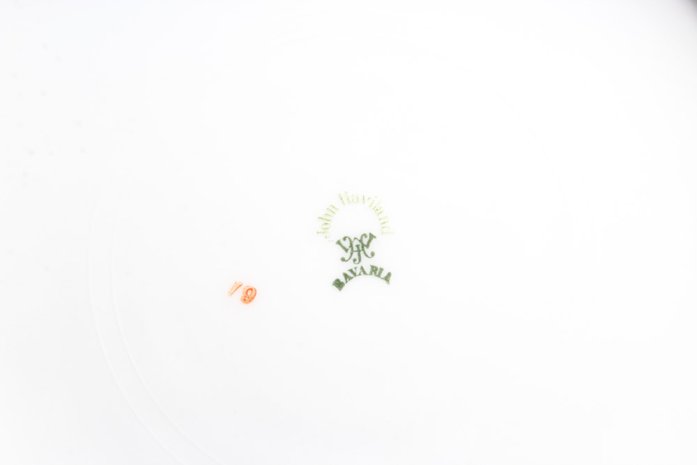 John Haviland Iris Floral China