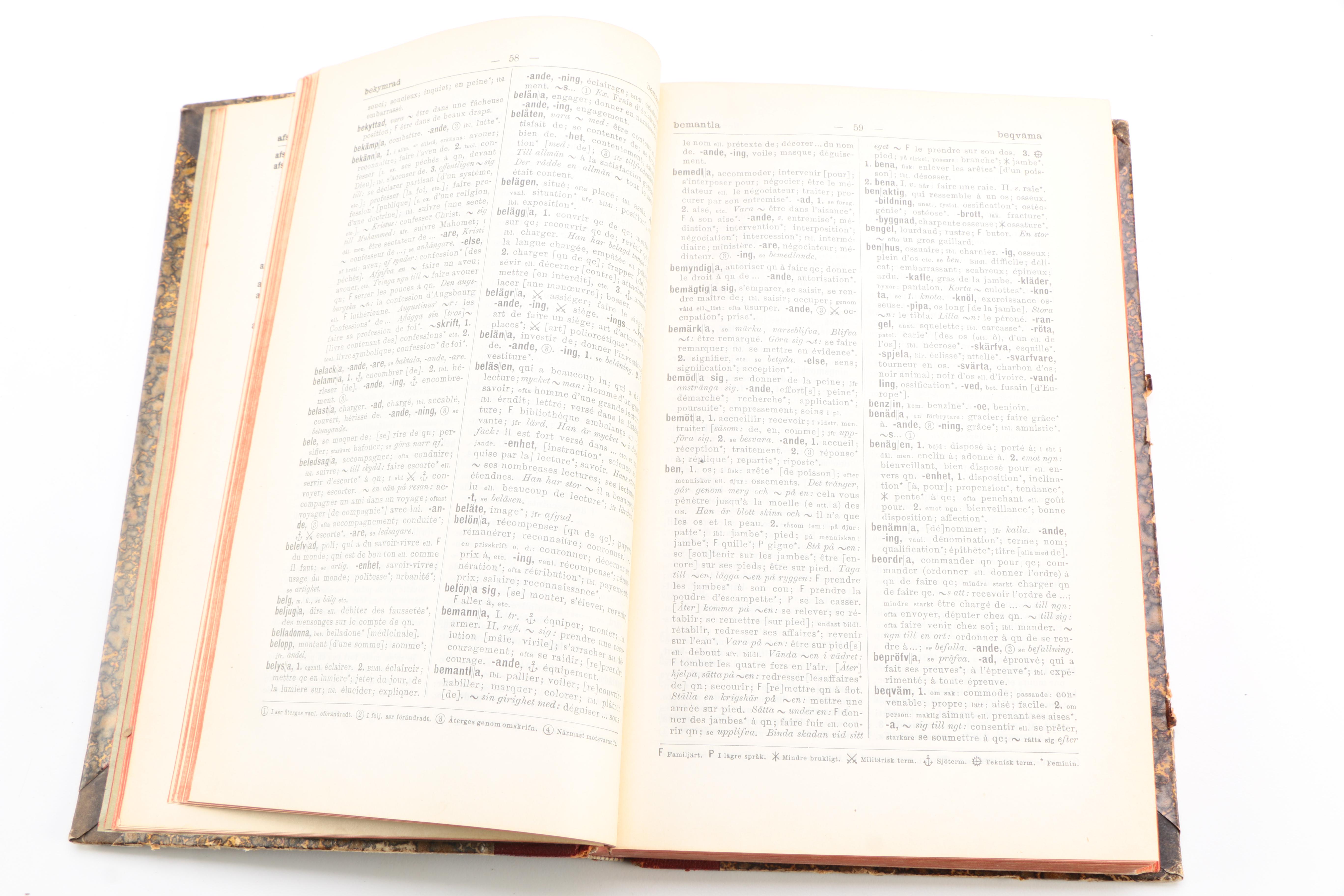 Vintage Translation Dictionaries