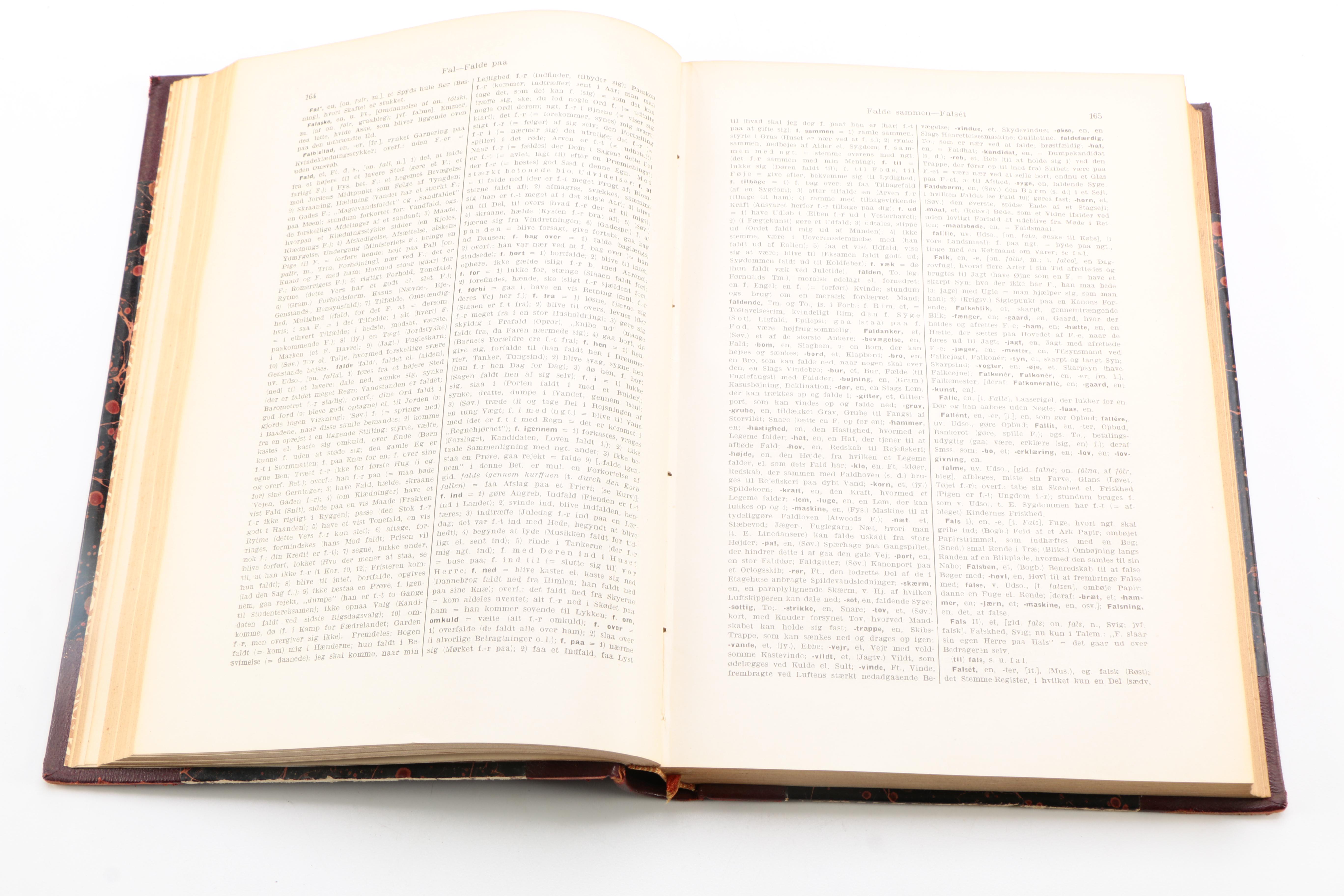 Vintage Translation Dictionaries