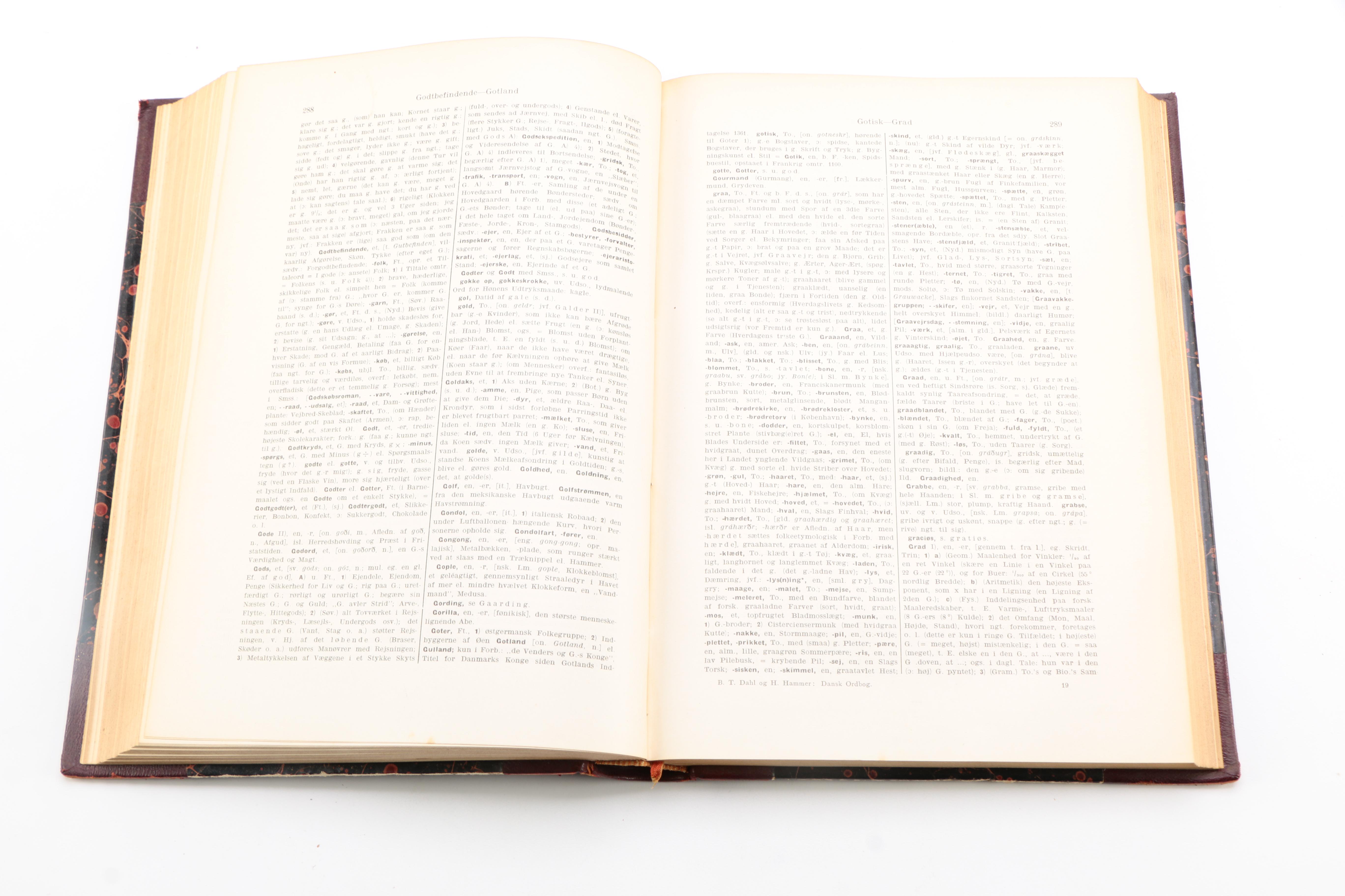 Vintage Translation Dictionaries