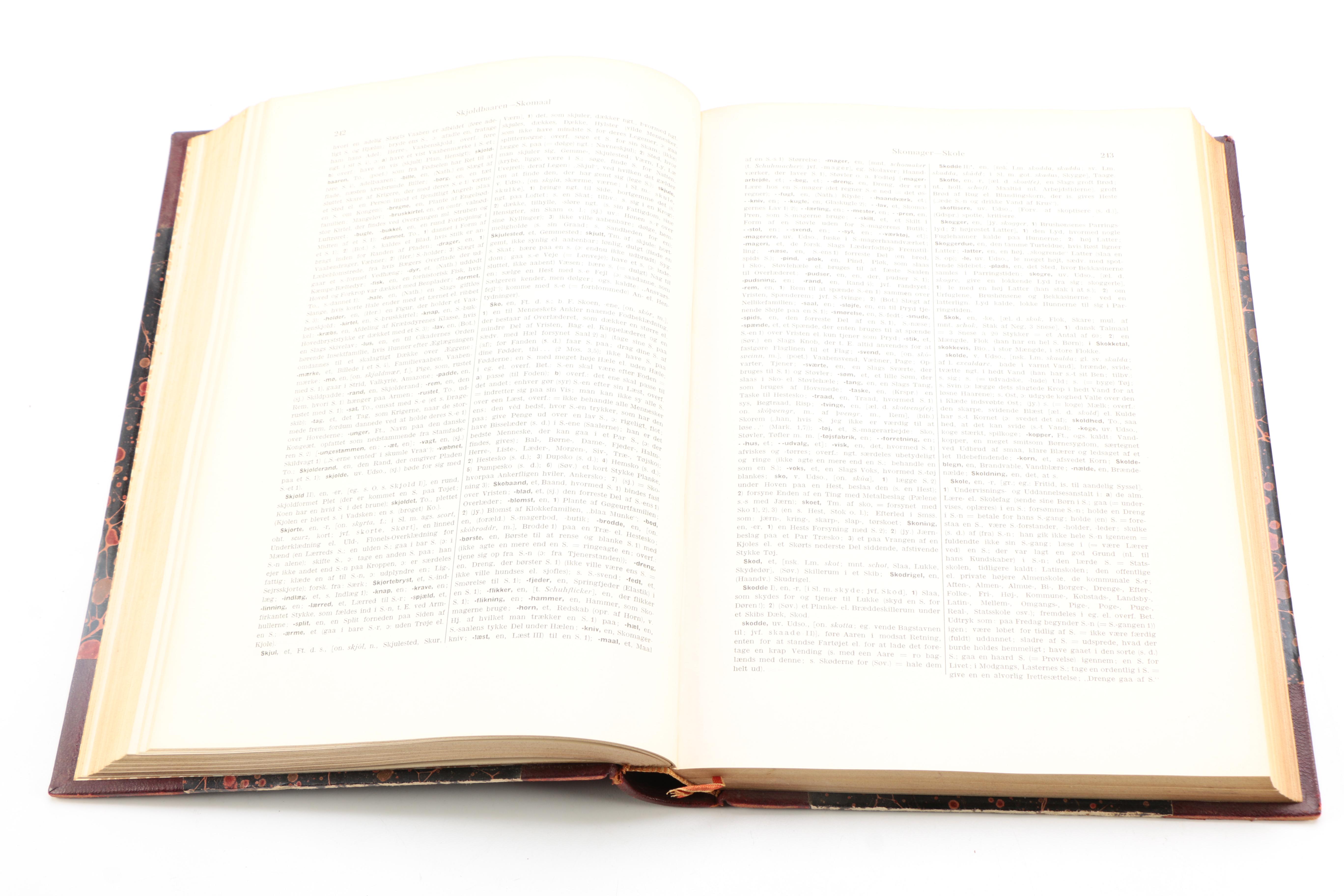 Vintage Translation Dictionaries