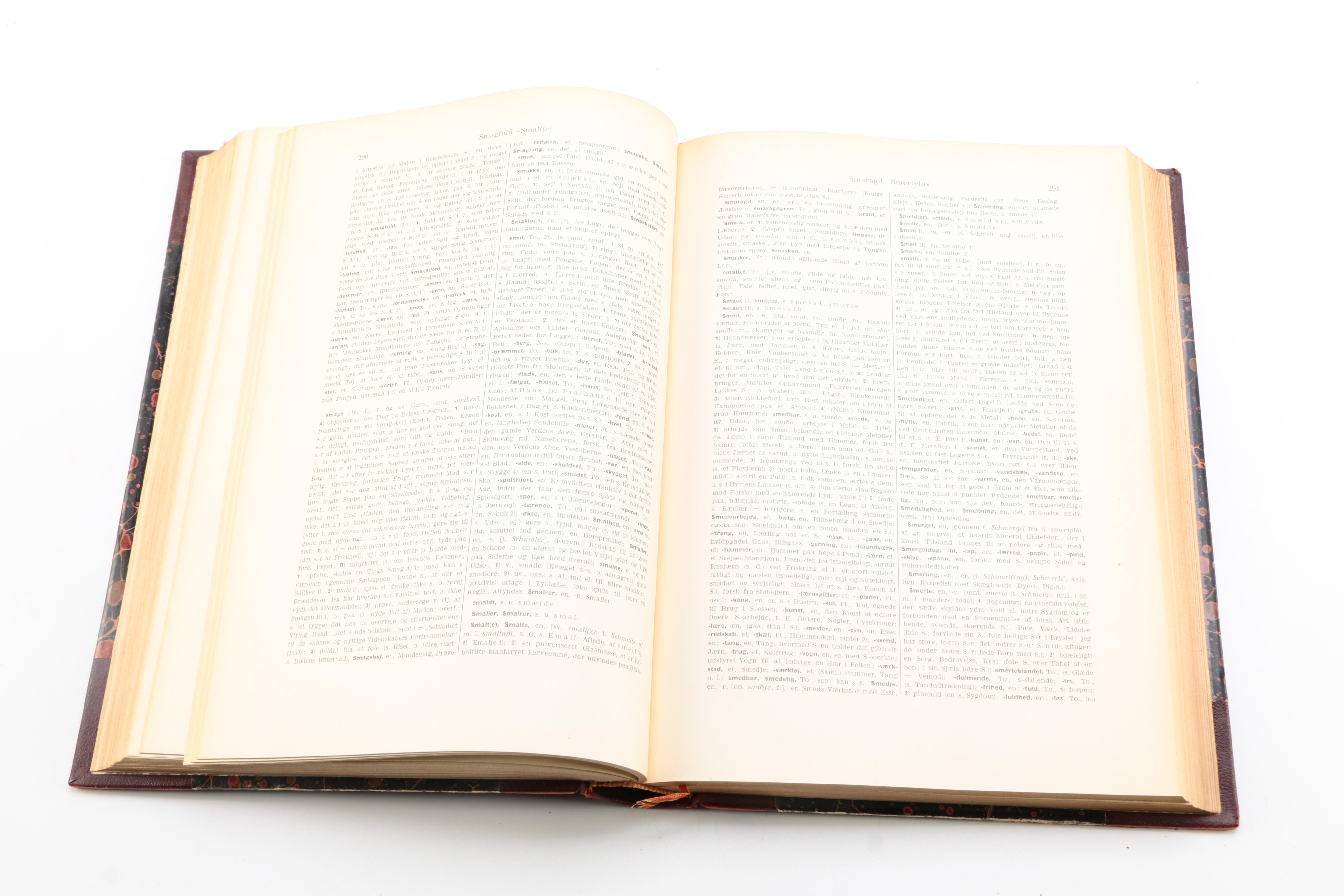 Vintage Translation Dictionaries