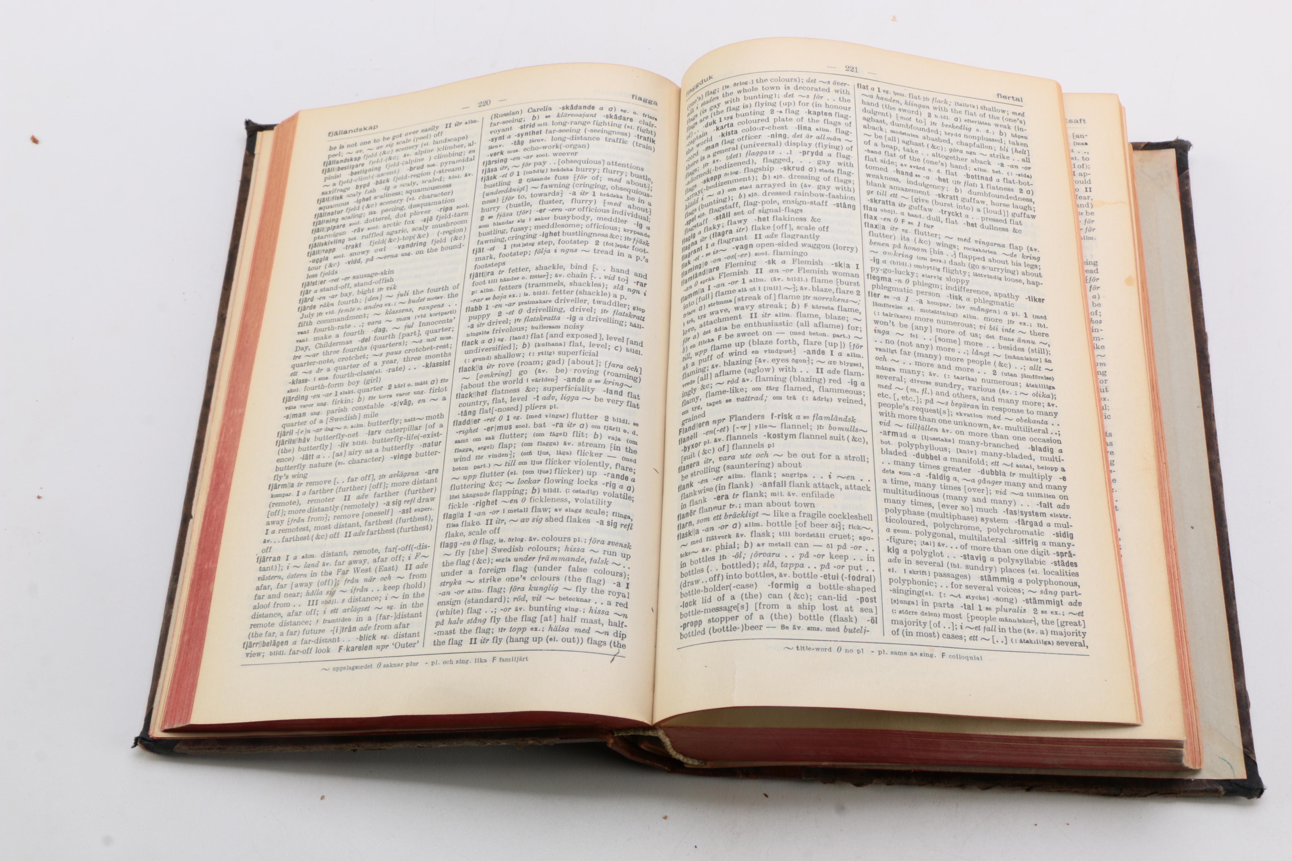 Vintage Translation Dictionaries