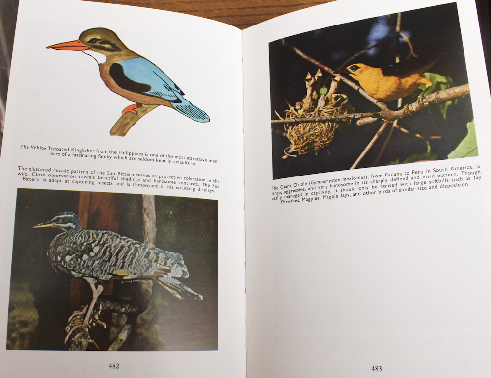 Vintage Mahogany Birdcage With Book "Finches & Soft-Billed Birds"