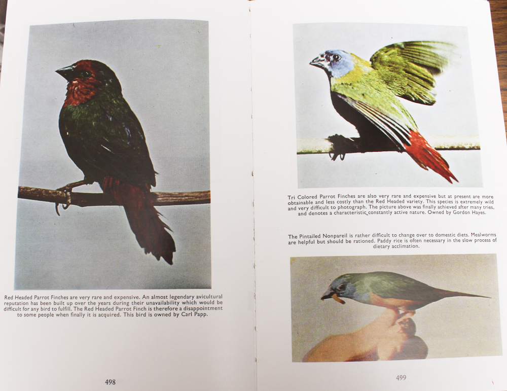 Vintage Mahogany Birdcage With Book "Finches & Soft-Billed Birds"