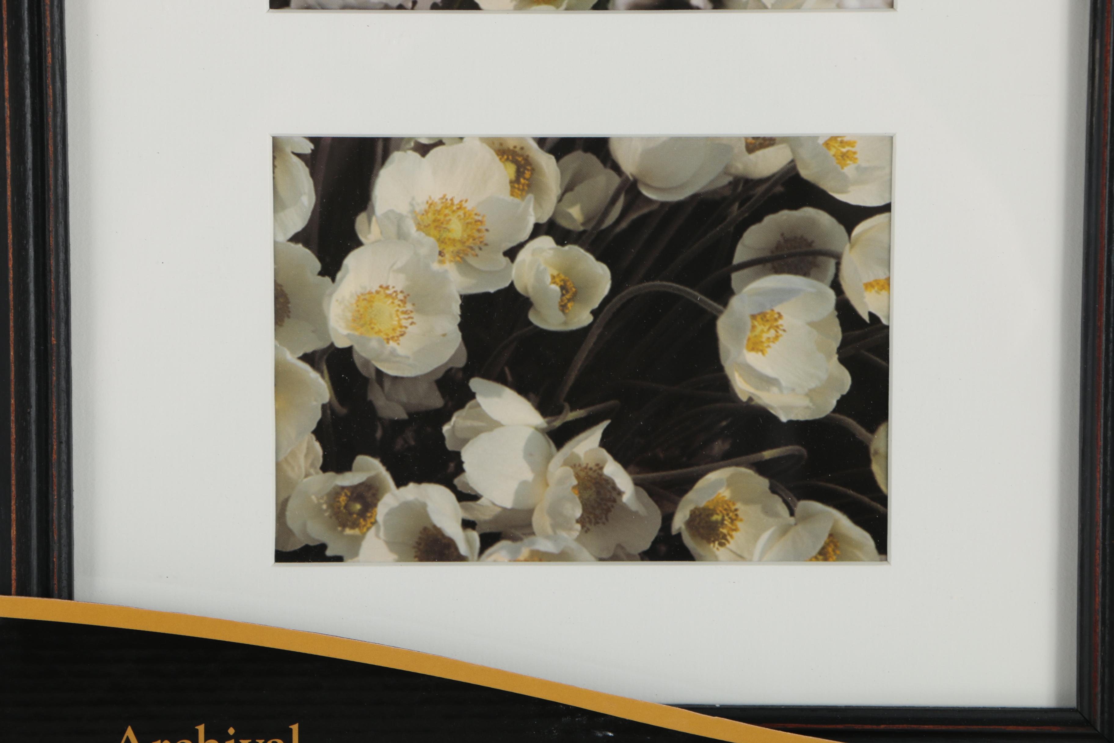 Artcare Picture Frames