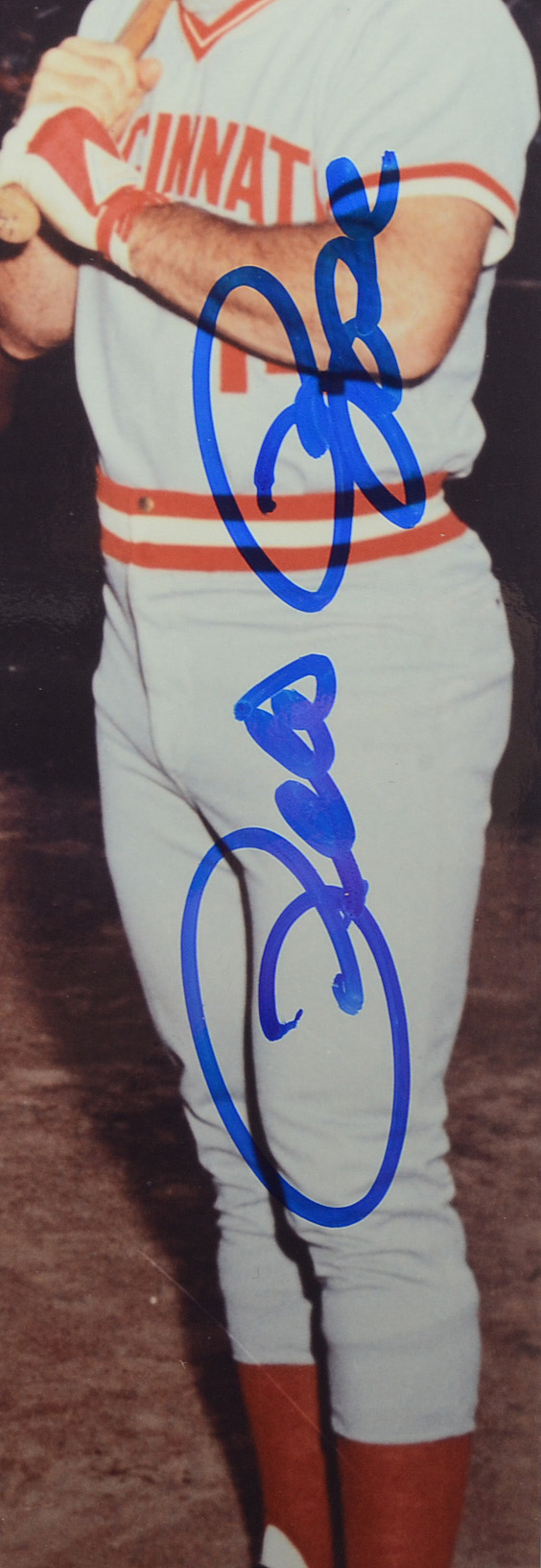 Rose, Morgan, Bench, and Perez Signed Photo JSA COA