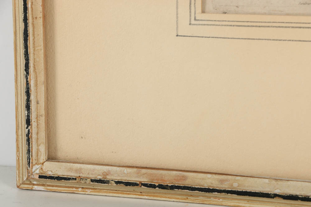 R. Collins Engraving on Paper "Centaurus"