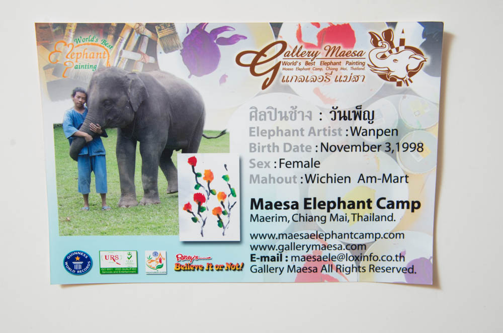 Wanpen Watercolor on Paper from Thailand