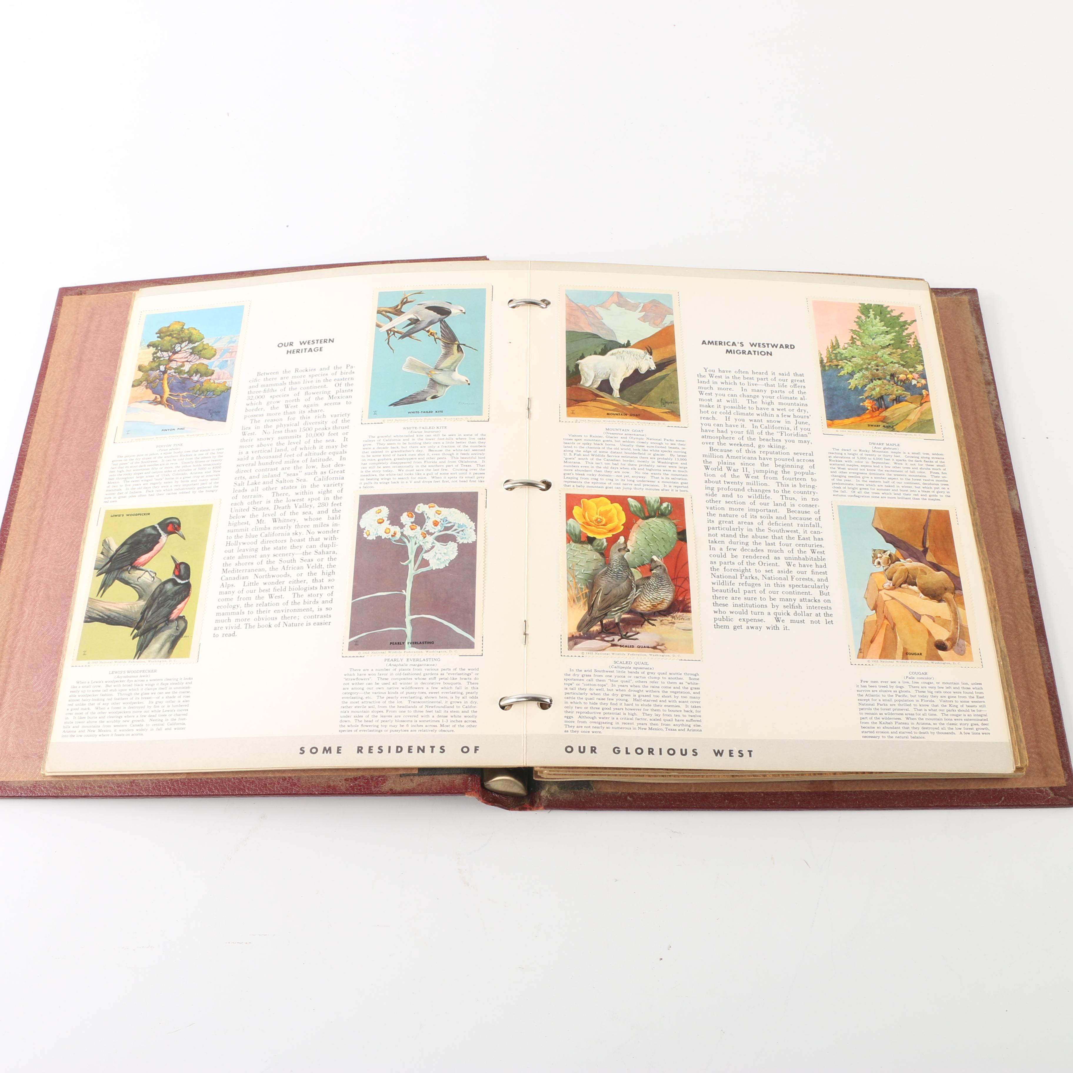 Wildlife Conservation Stamp Albums