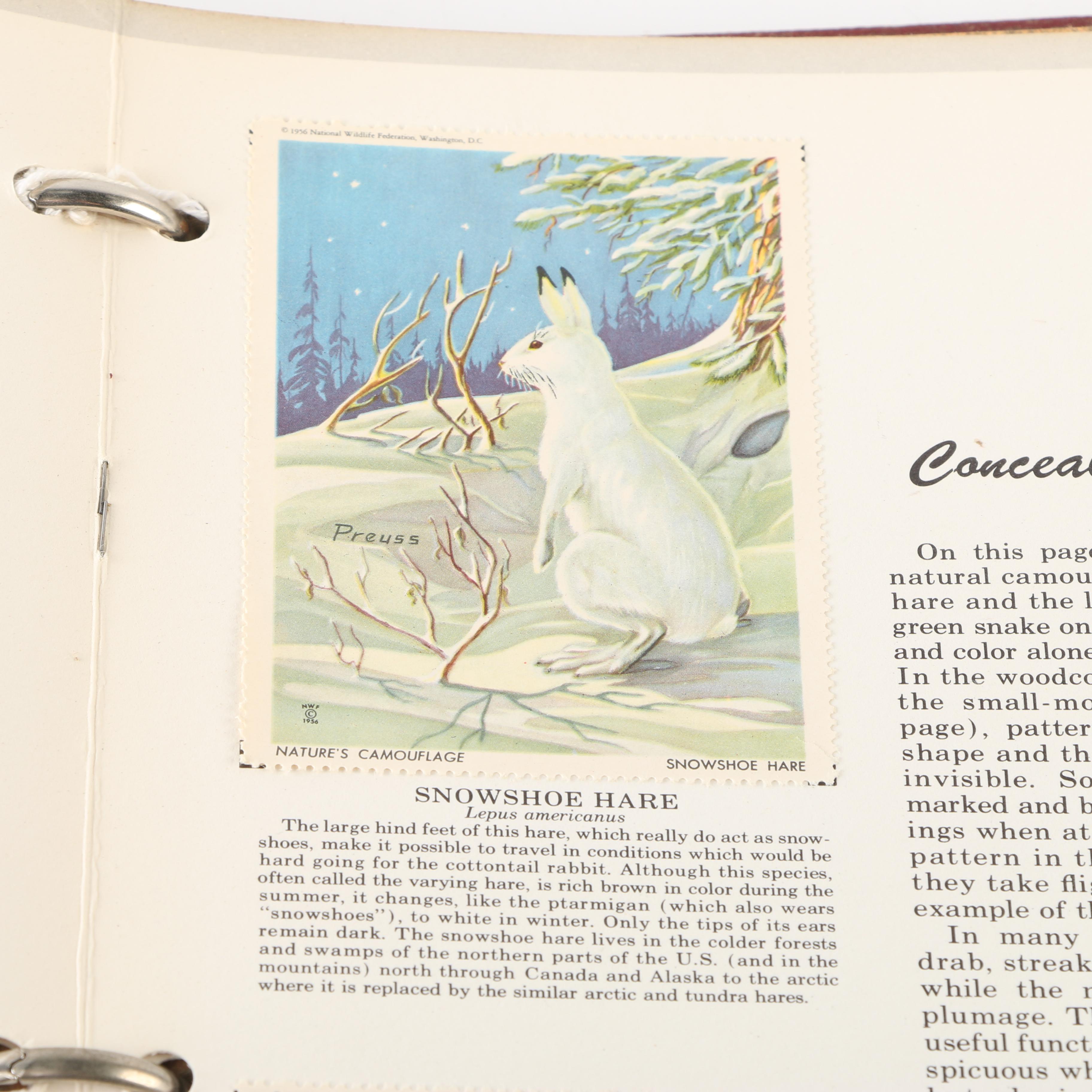 Wildlife Conservation Stamp Albums