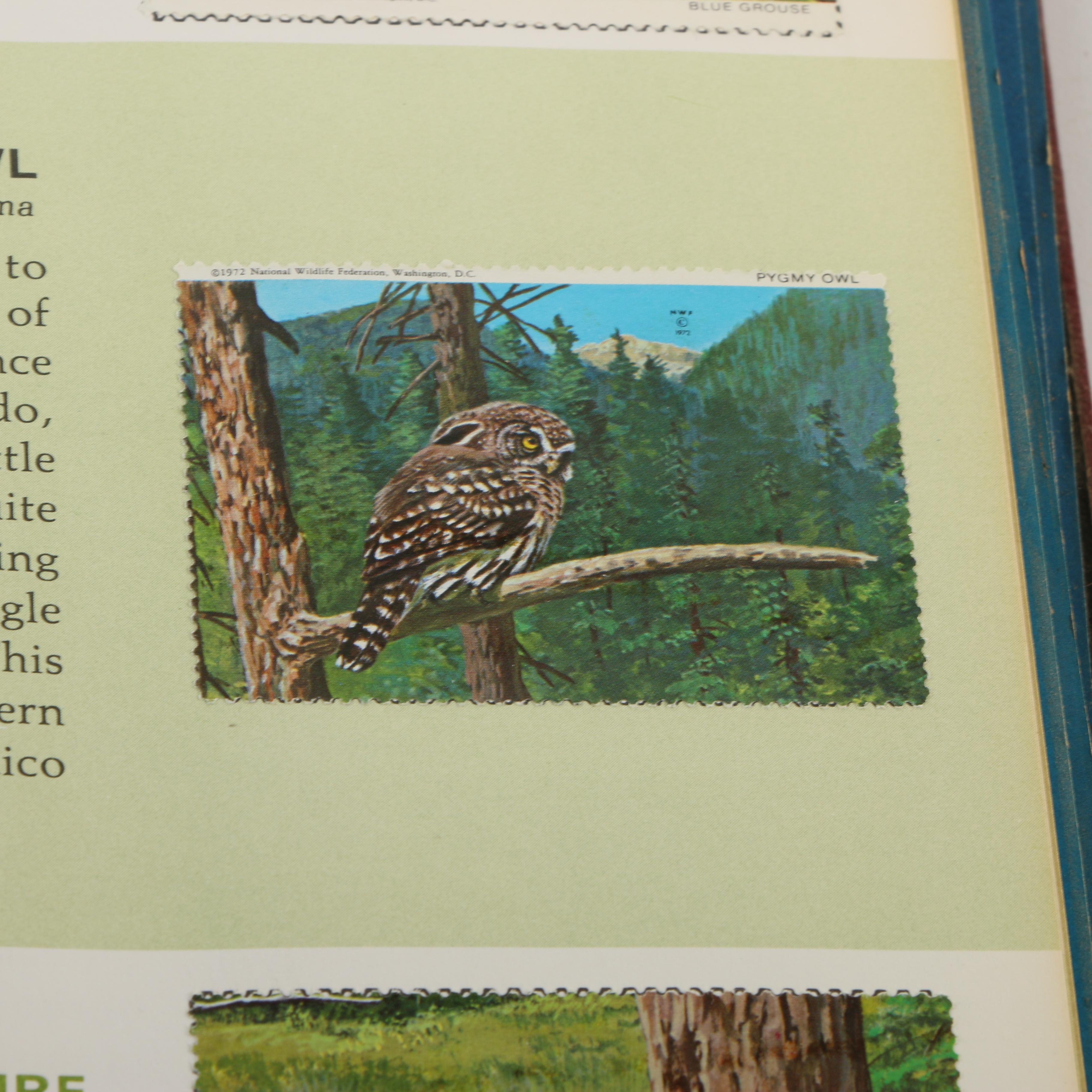 Wildlife Conservation Stamp Albums