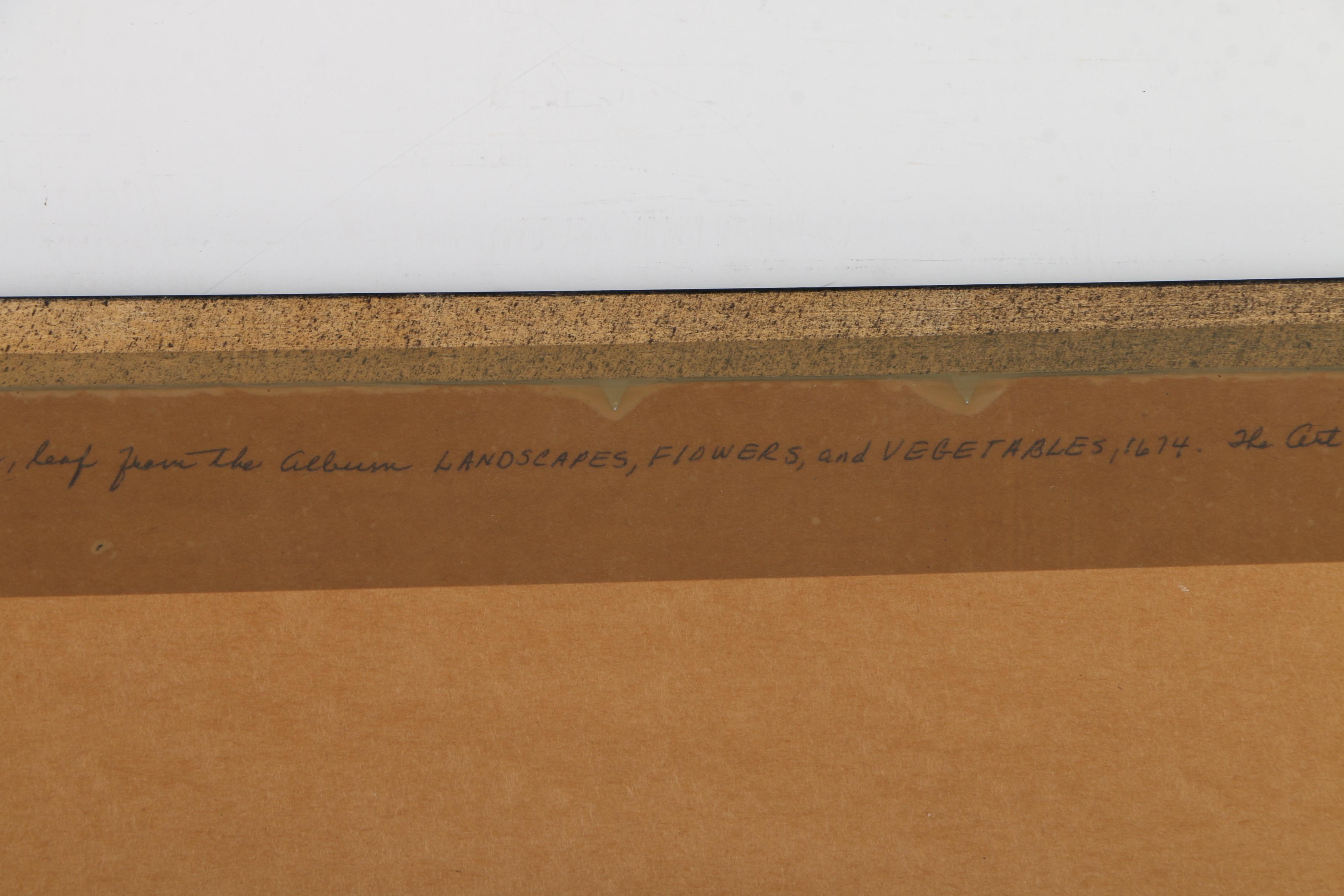 After Yun Shou Ping Vintage Offset Lithograph Print on Paper of Lotus Blossoms