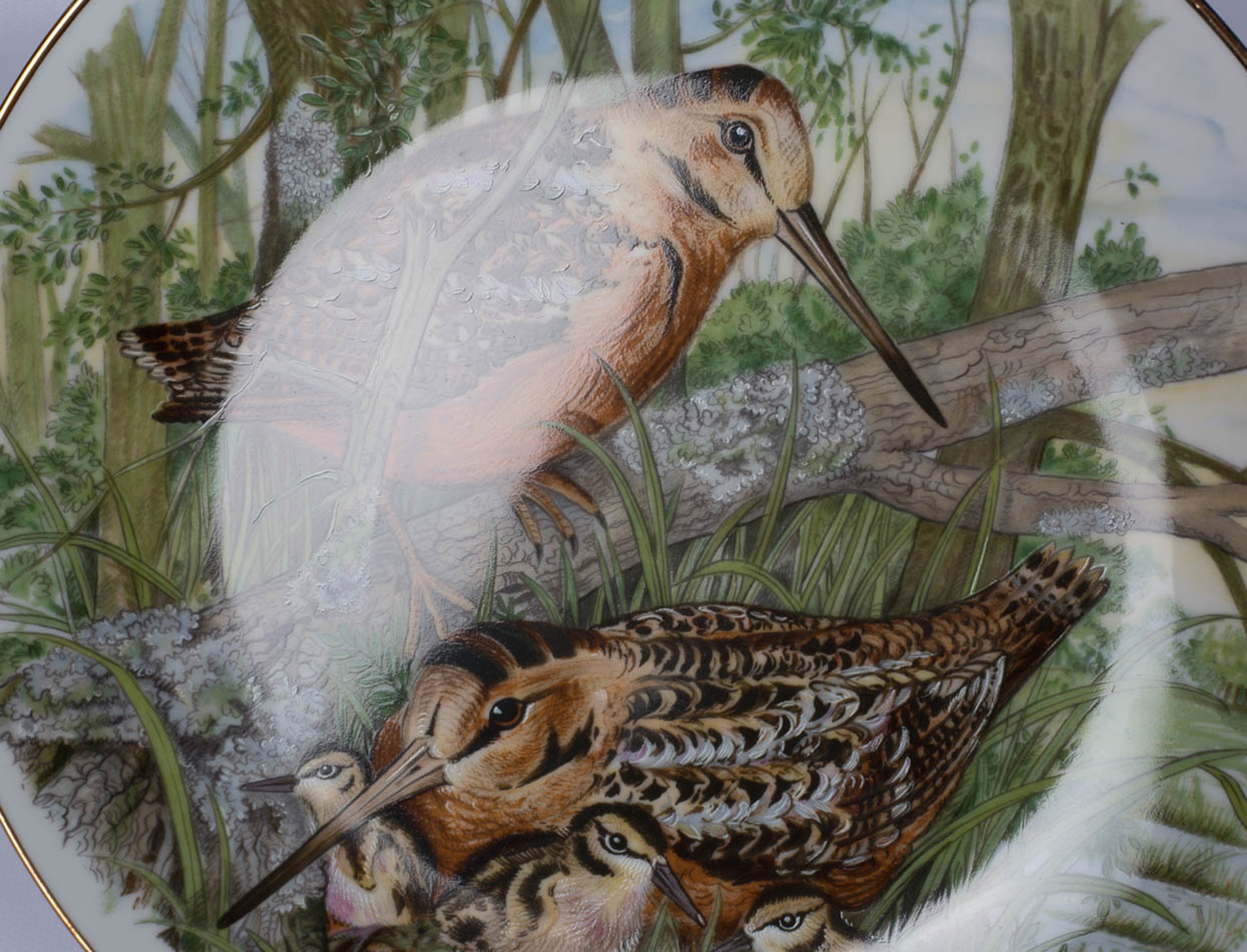 Southern Living "Game Birds of the South" Collector Plates