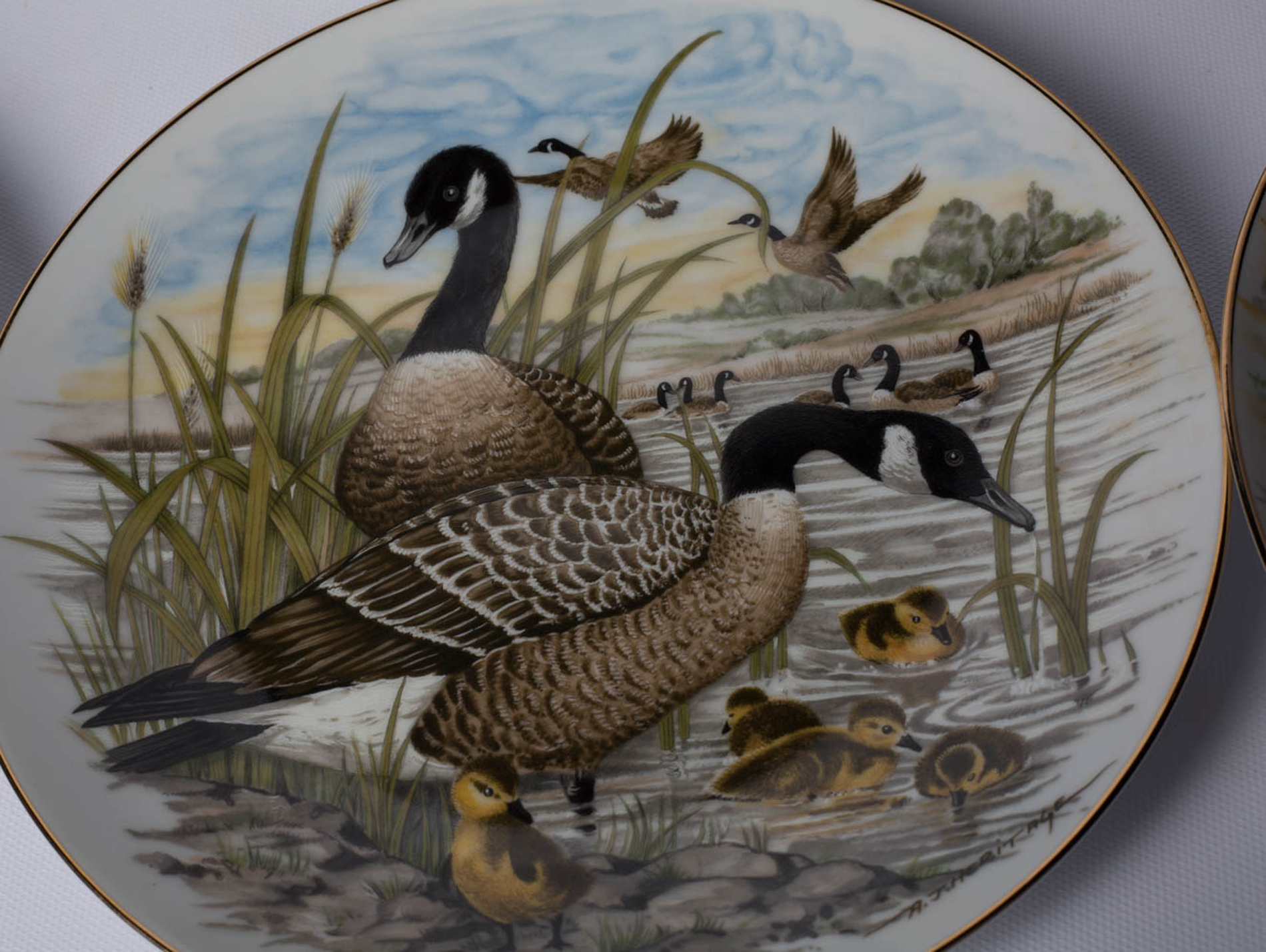 Southern Living "Game Birds of the South" Collector Plates