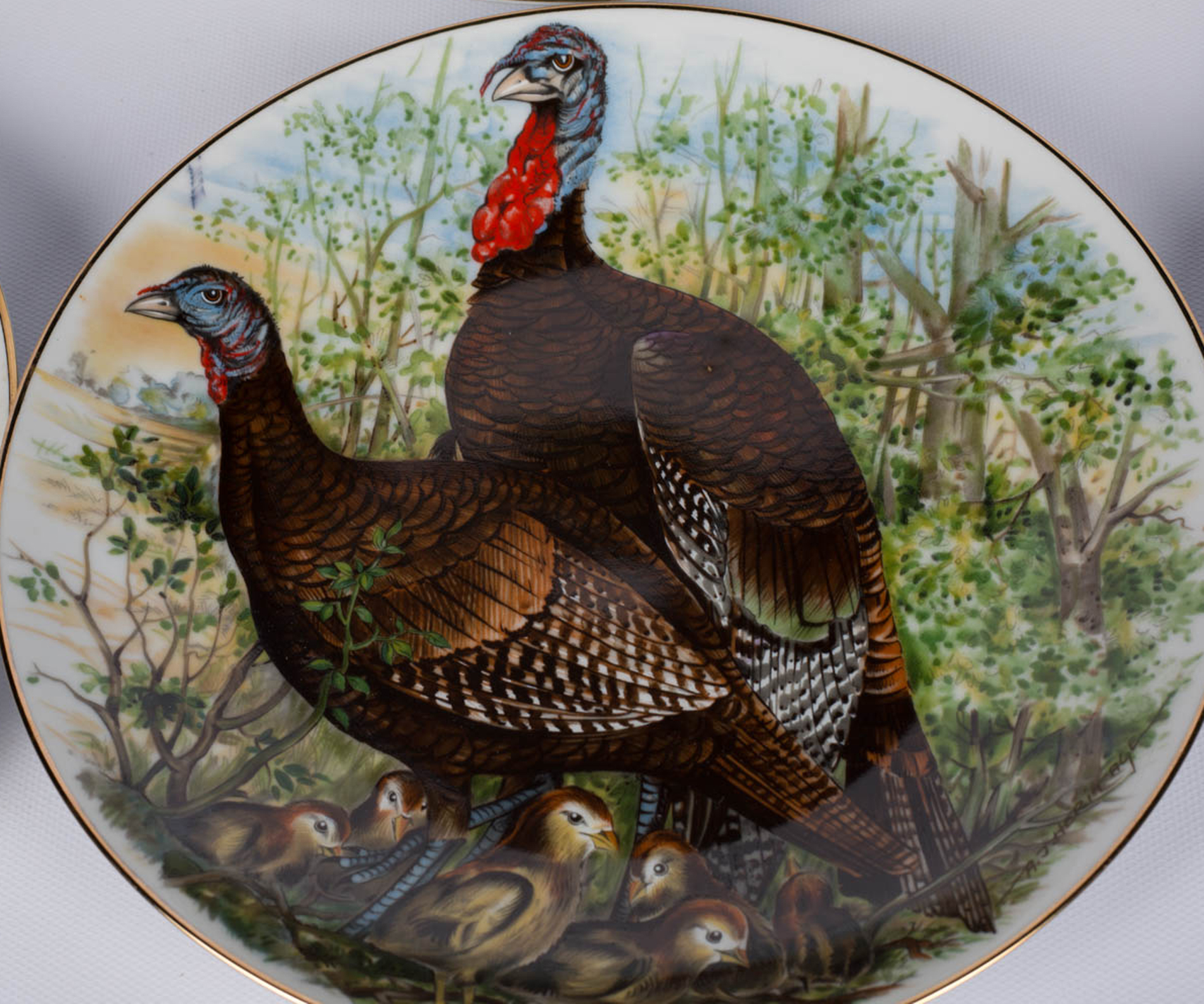 Southern Living "Game Birds of the South" Collector Plates