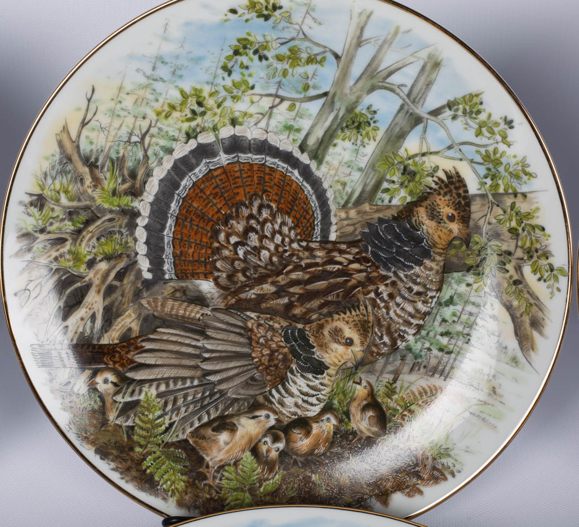 Southern Living "Game Birds of the South" Collector Plates