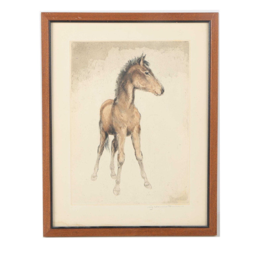 Color Aquatint Etching of a Brown Colt