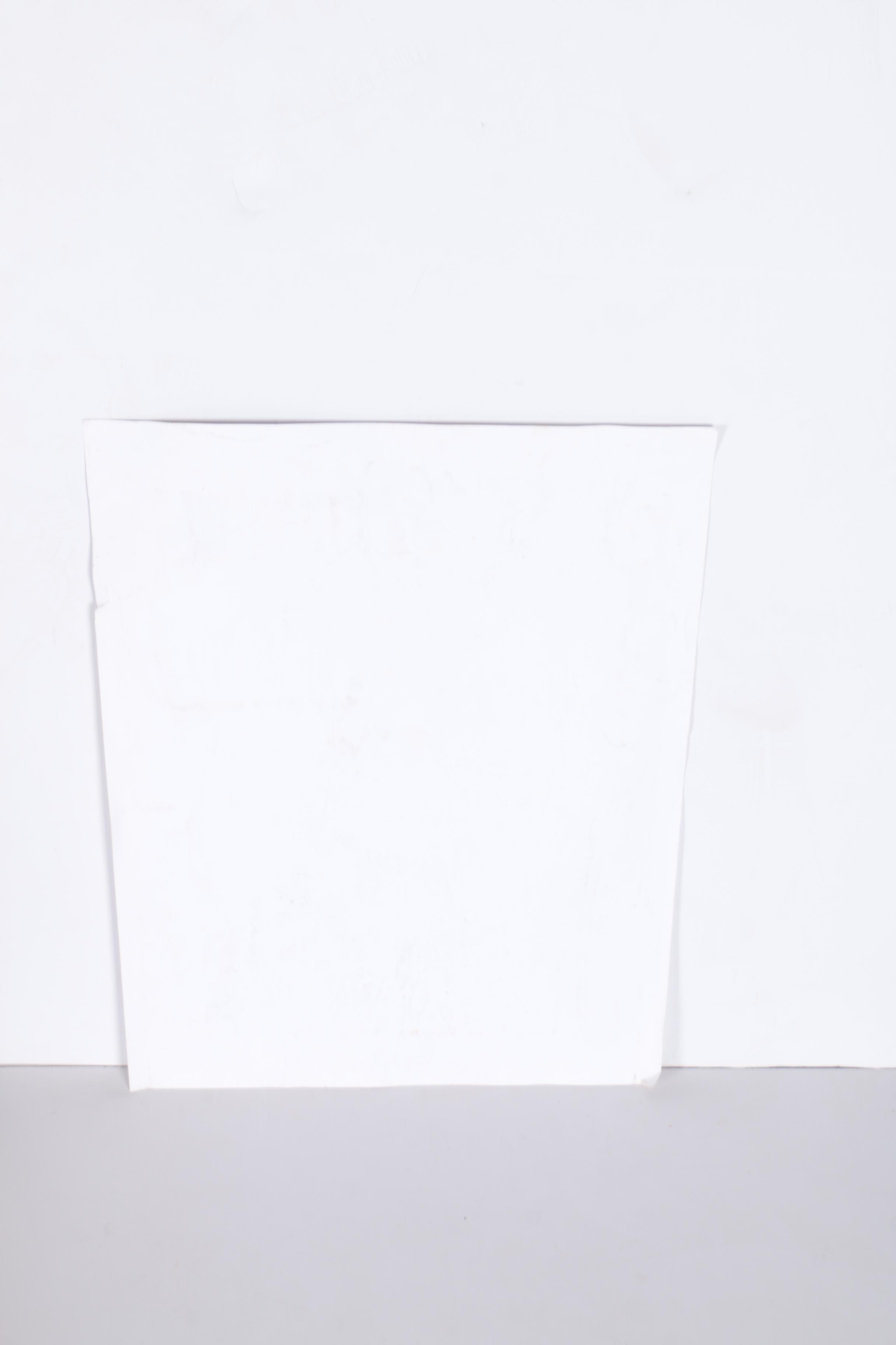 Limited Edition Melvins Concert Lithographs