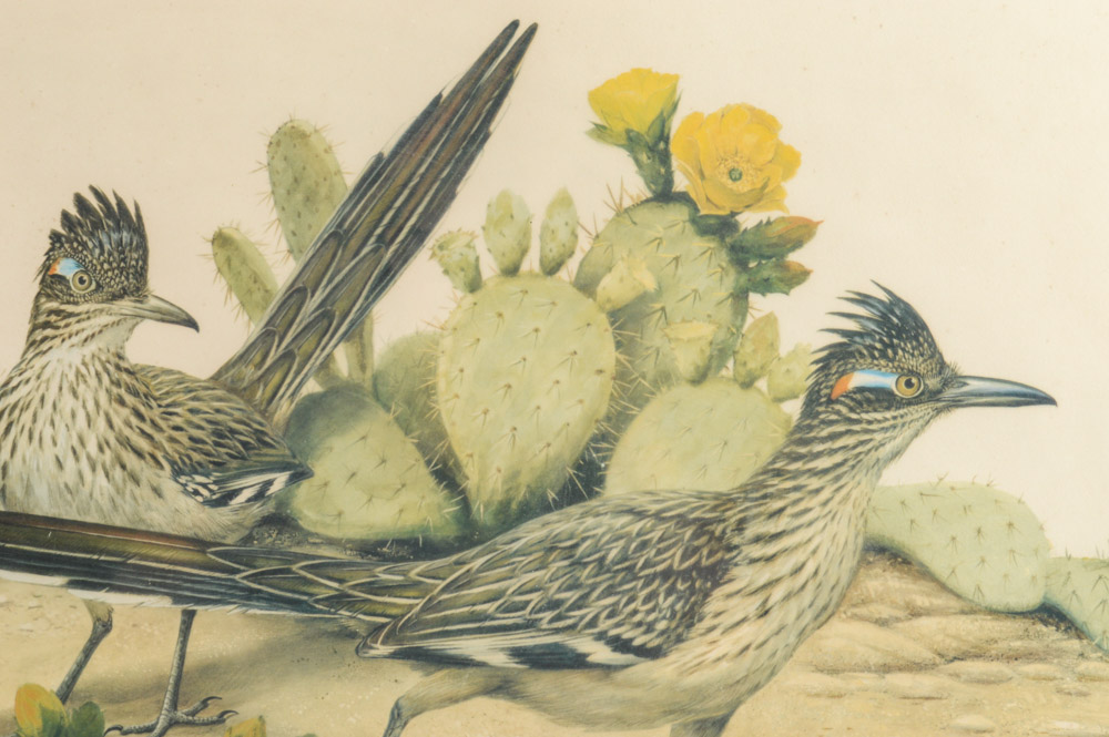 Roger Troy Peterson Limited Edition Print "Roadrunner"