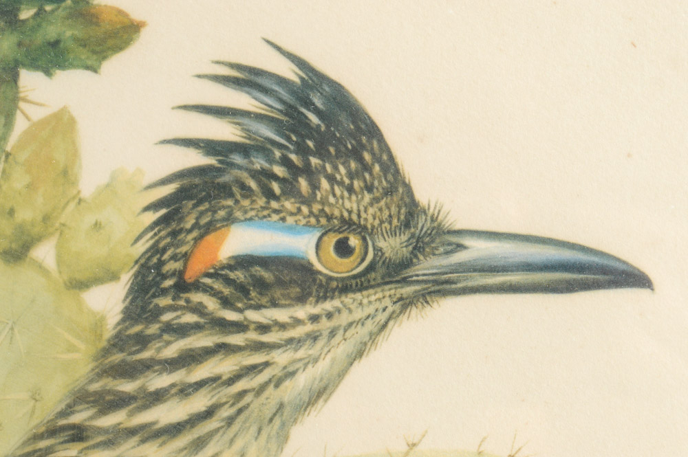 Roger Troy Peterson Limited Edition Print "Roadrunner"