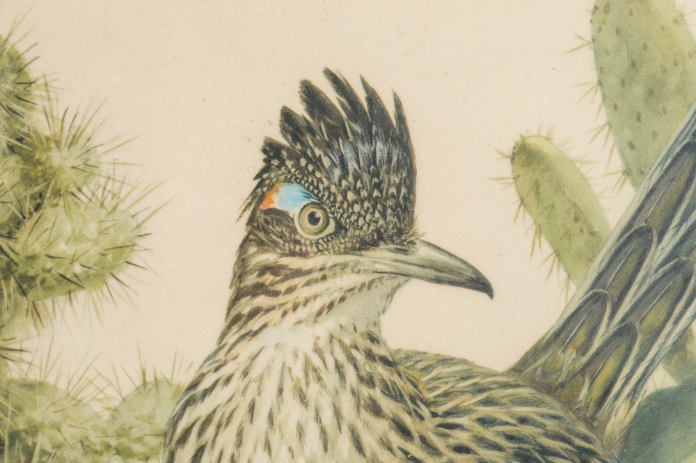 Roger Troy Peterson Limited Edition Print "Roadrunner"