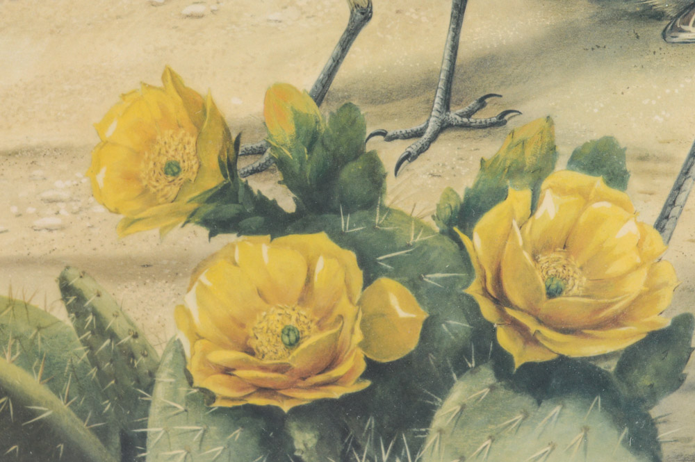 Roger Troy Peterson Limited Edition Print "Roadrunner"