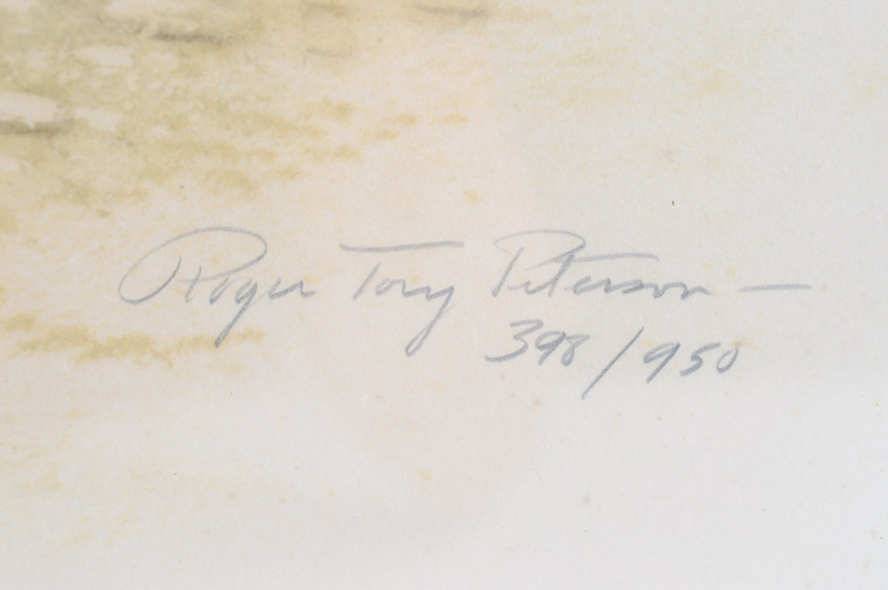 Roger Troy Peterson Limited Edition Print "Roadrunner"