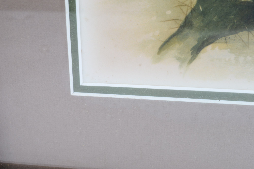 Roger Troy Peterson Limited Edition Print "Roadrunner"