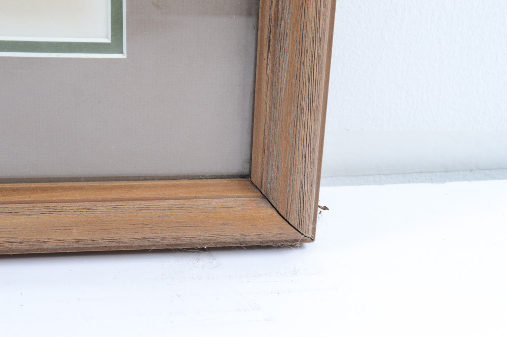 Roger Troy Peterson Limited Edition Print "Roadrunner"