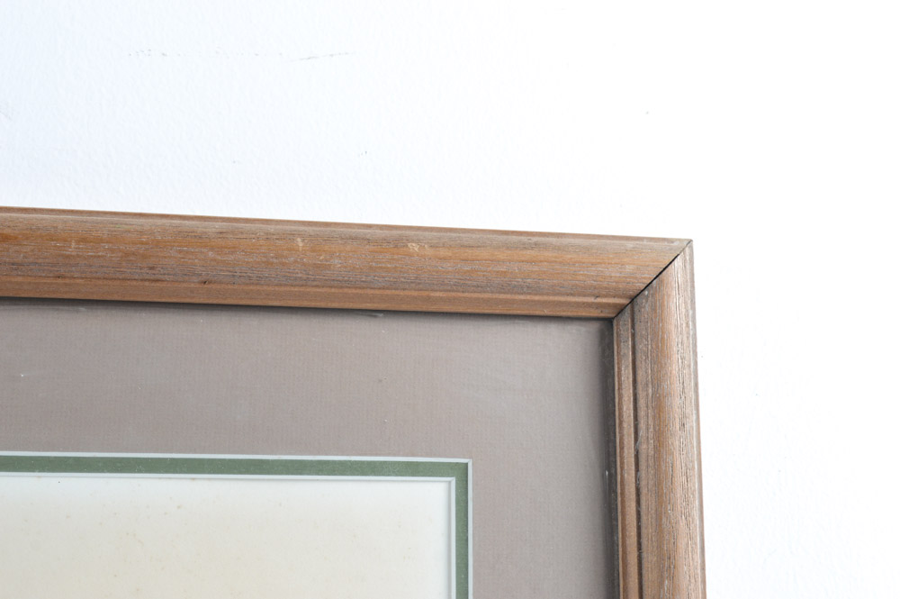 Roger Troy Peterson Limited Edition Print "Roadrunner"