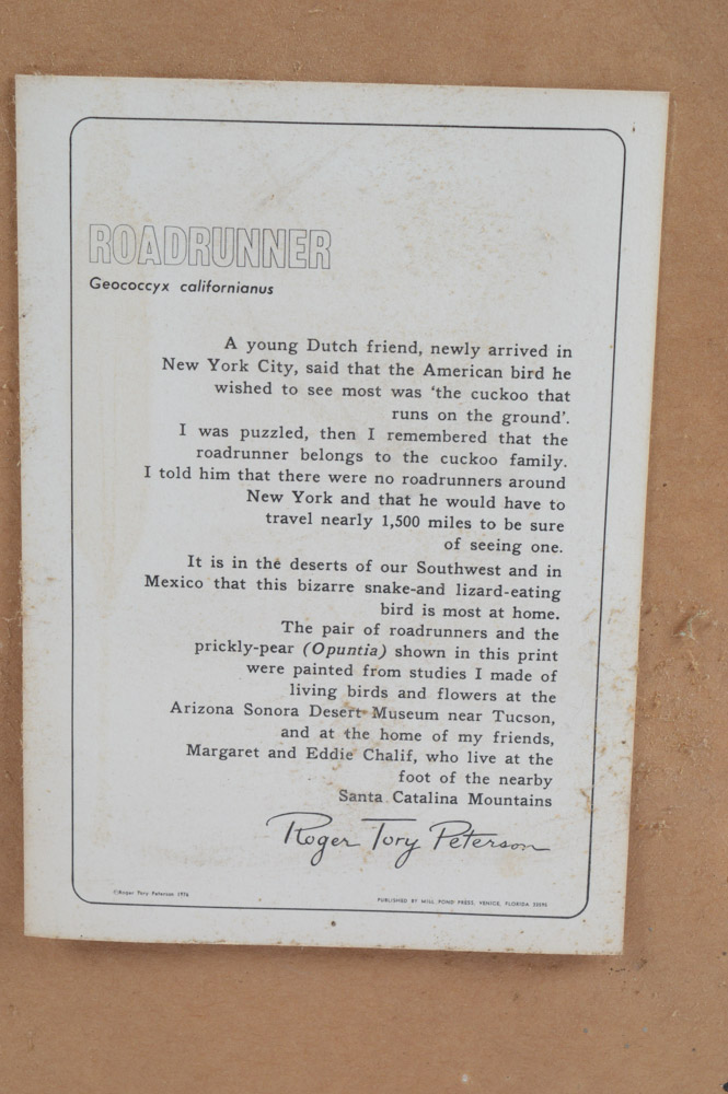 Roger Troy Peterson Limited Edition Print "Roadrunner"