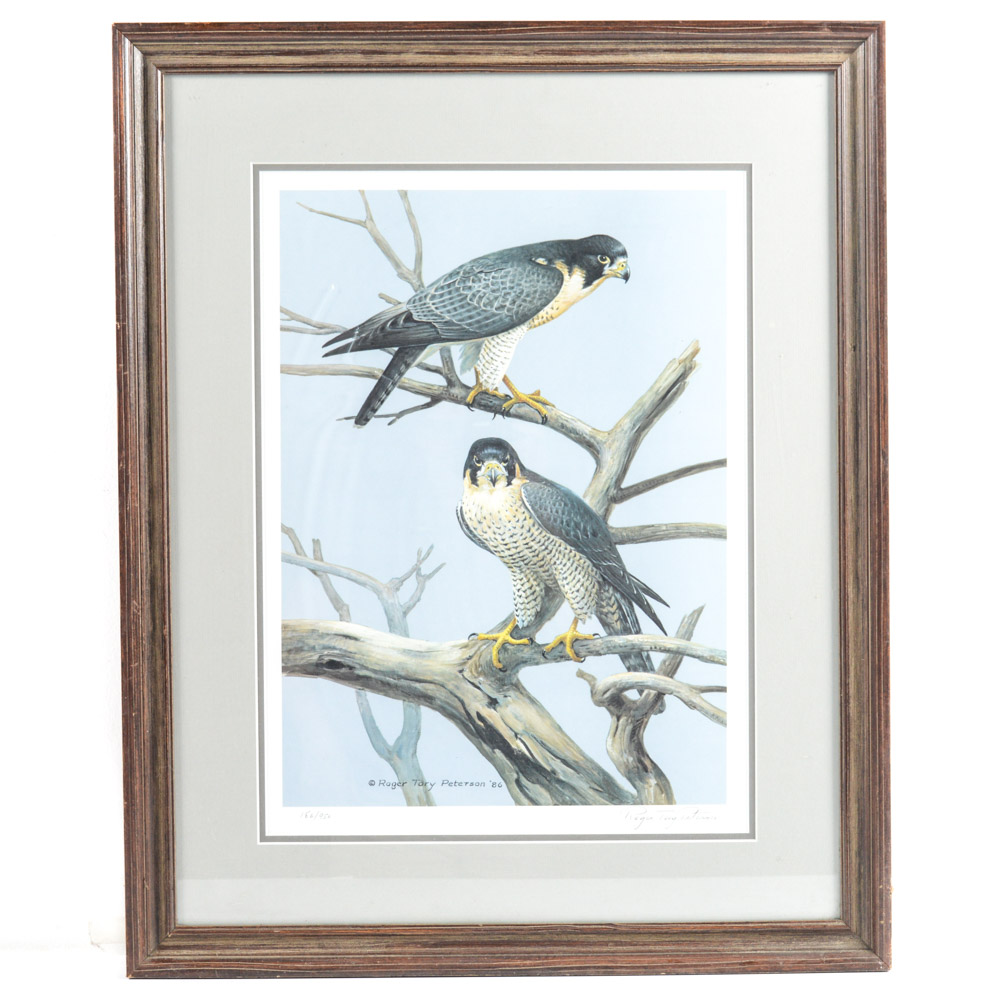 Roger Tory Peterson Limited Edition Print