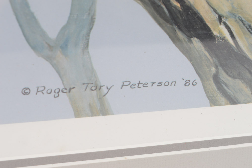 Roger Tory Peterson Limited Edition Print