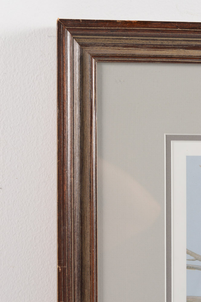 Roger Tory Peterson Limited Edition Print