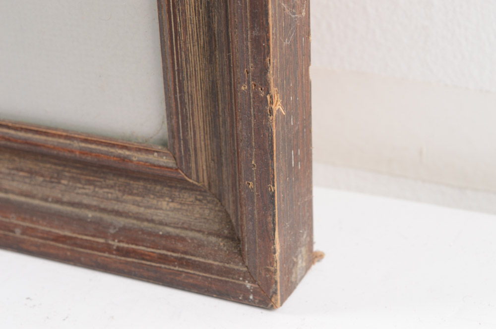 Roger Tory Peterson Limited Edition Print