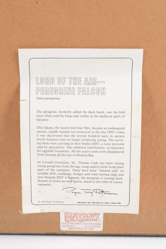 Roger Tory Peterson Limited Edition Print