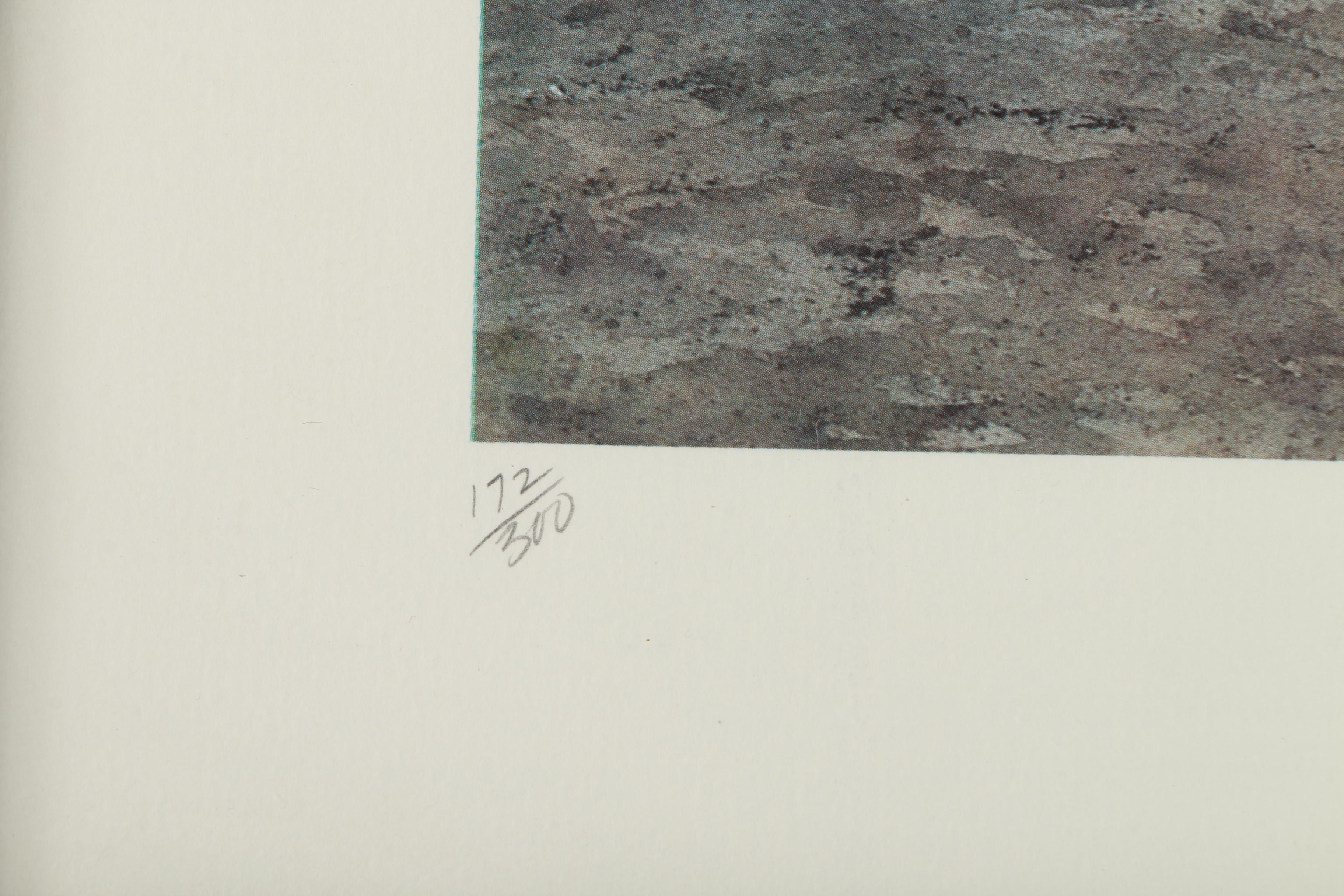 Emily James Limited Edition Offset Lithograph "Mykonos, Greece"