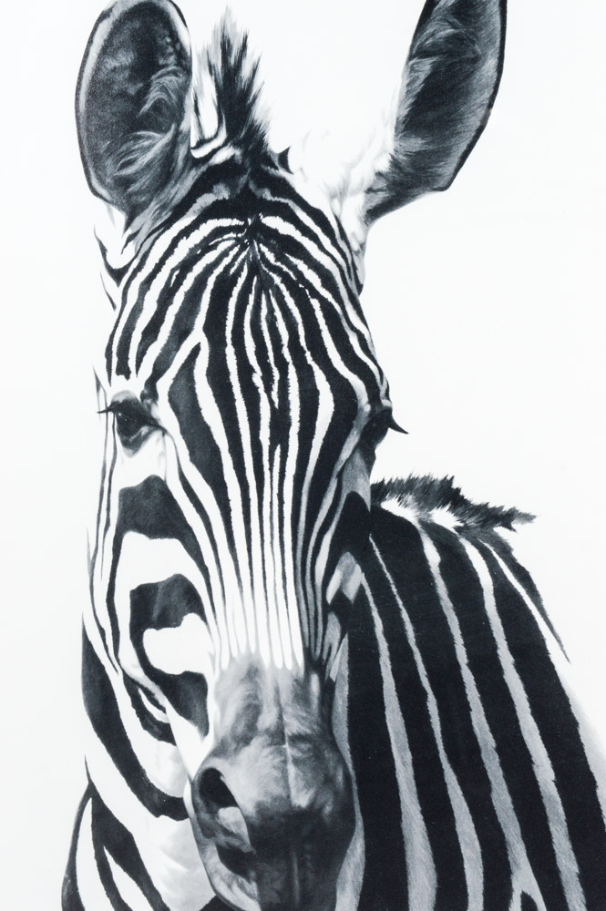 Peter Skirka Limited Edition Print