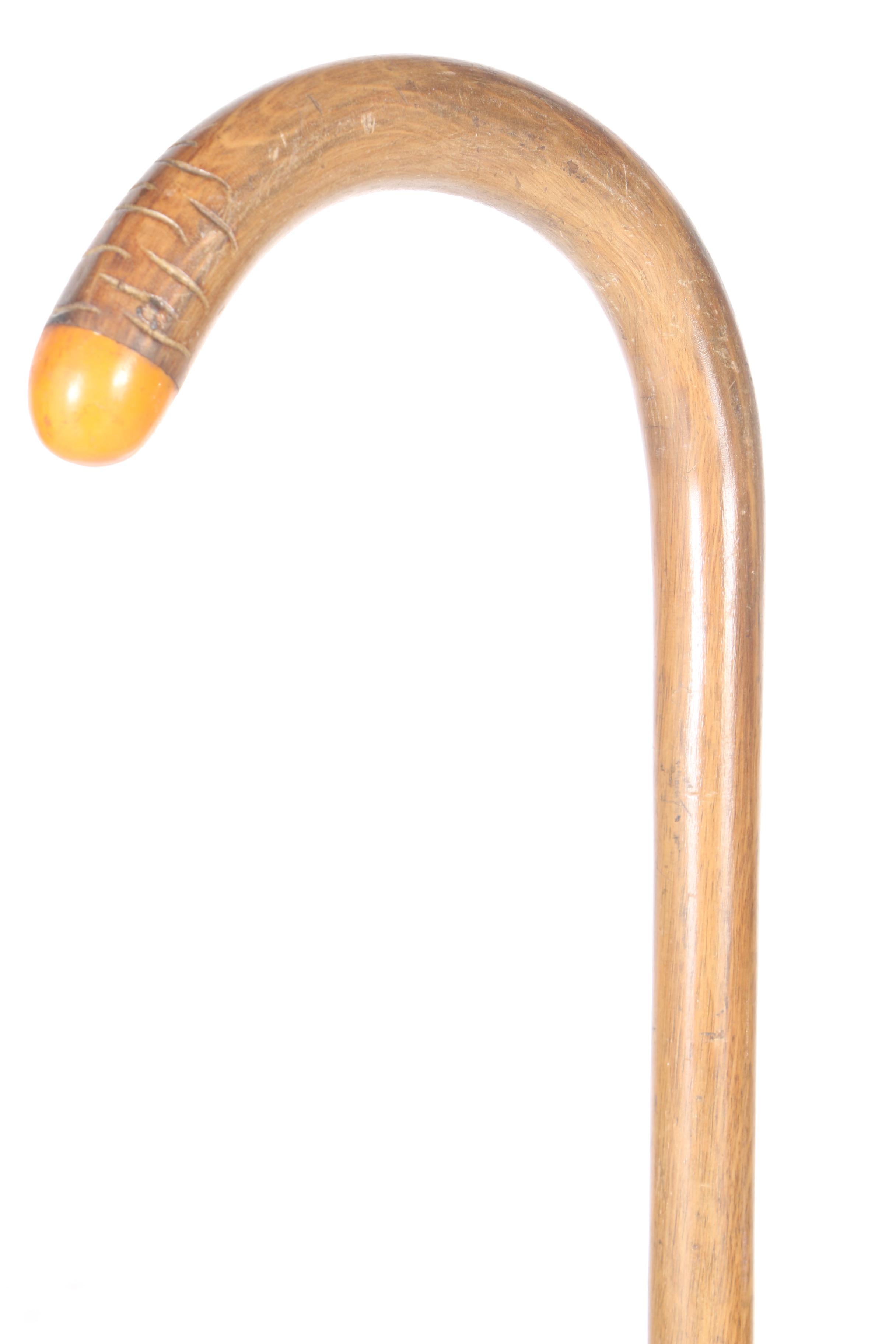 Cane Collection
