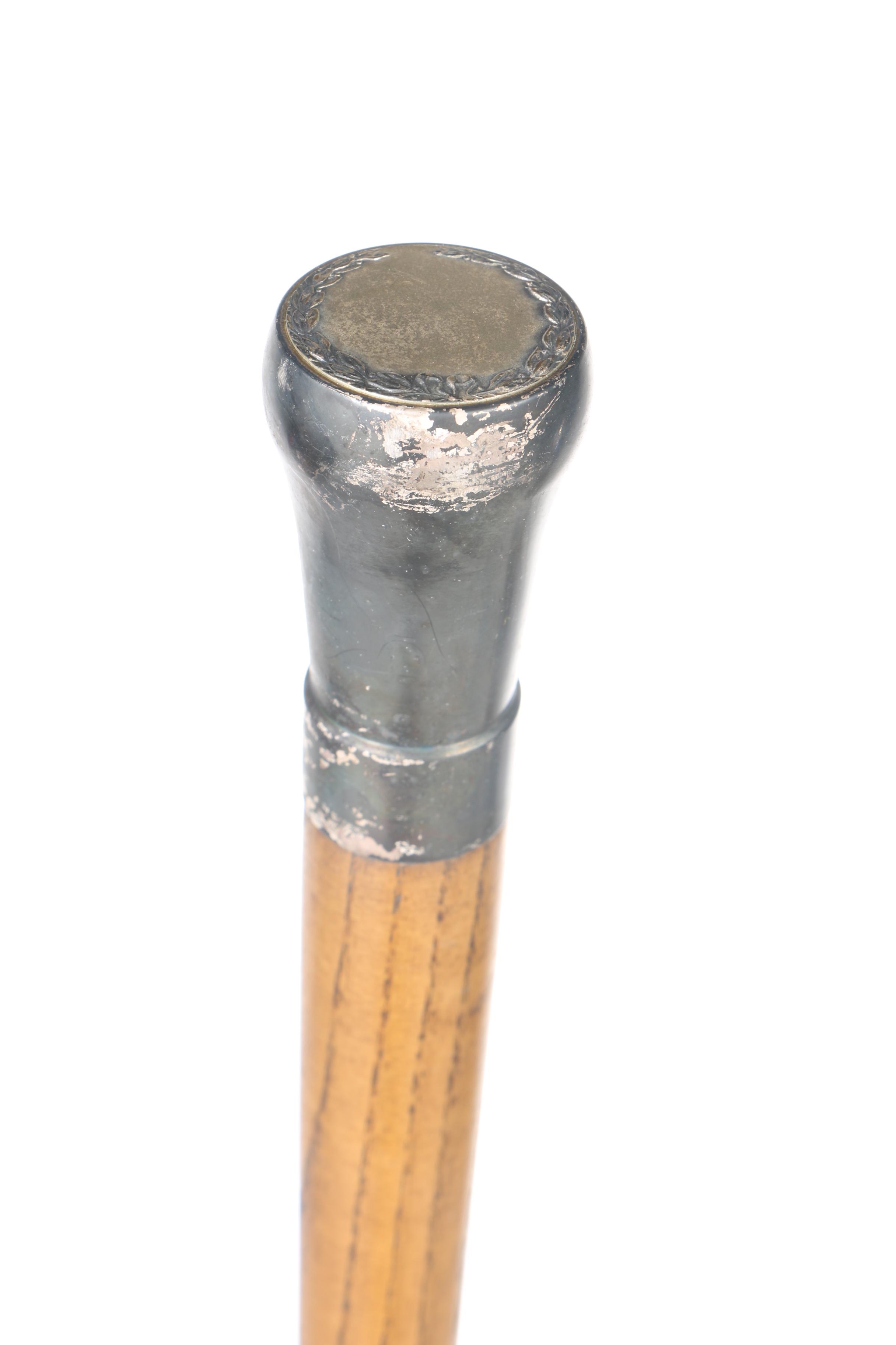 Cane Collection