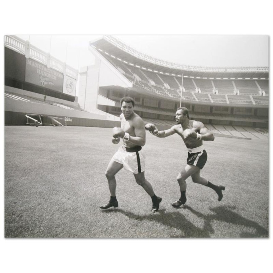Muhammad Ali and Ken Norton Licensed Photograph