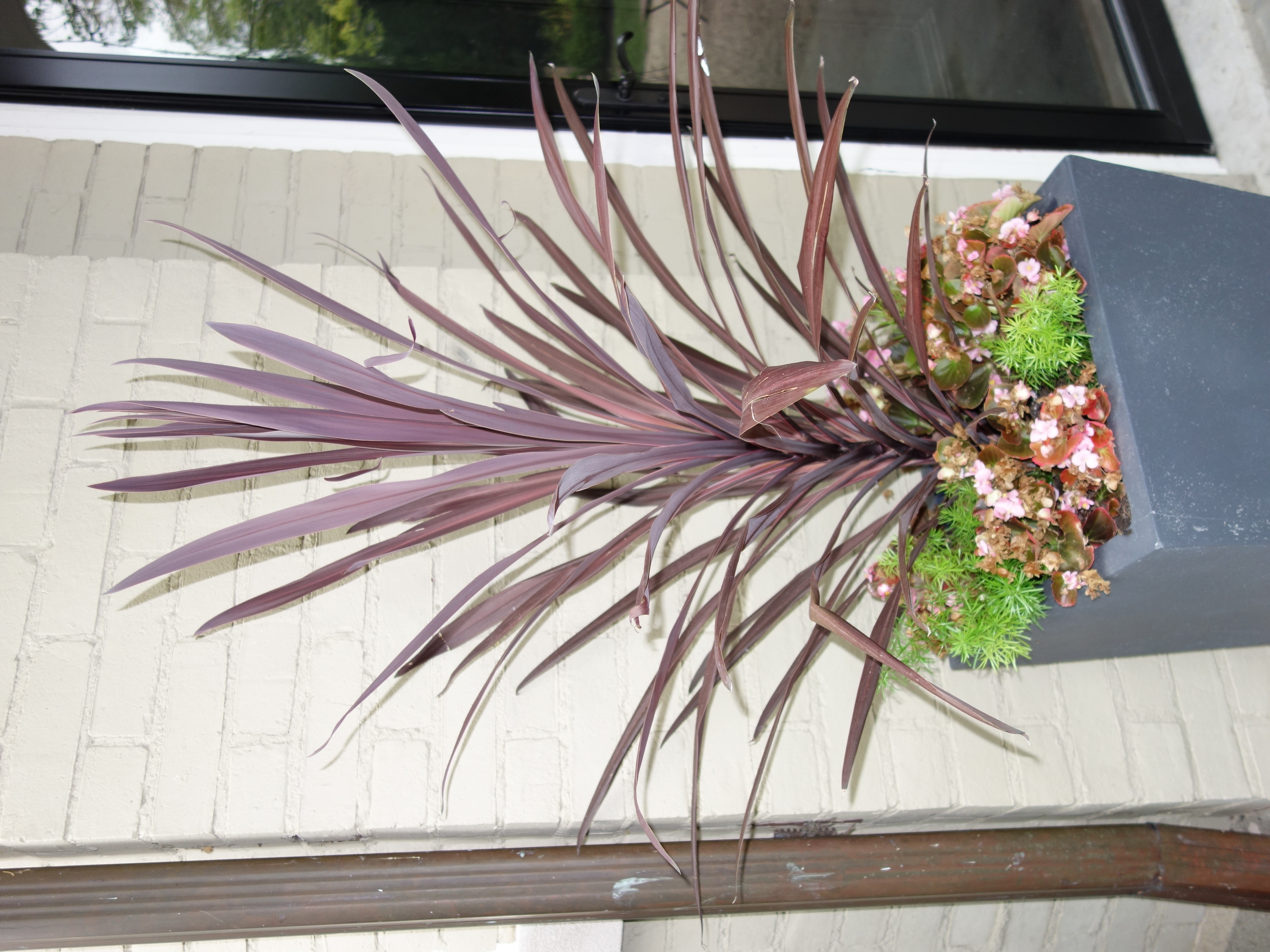 Restoration Hardware Weathered Cast Stone Tapered Planters