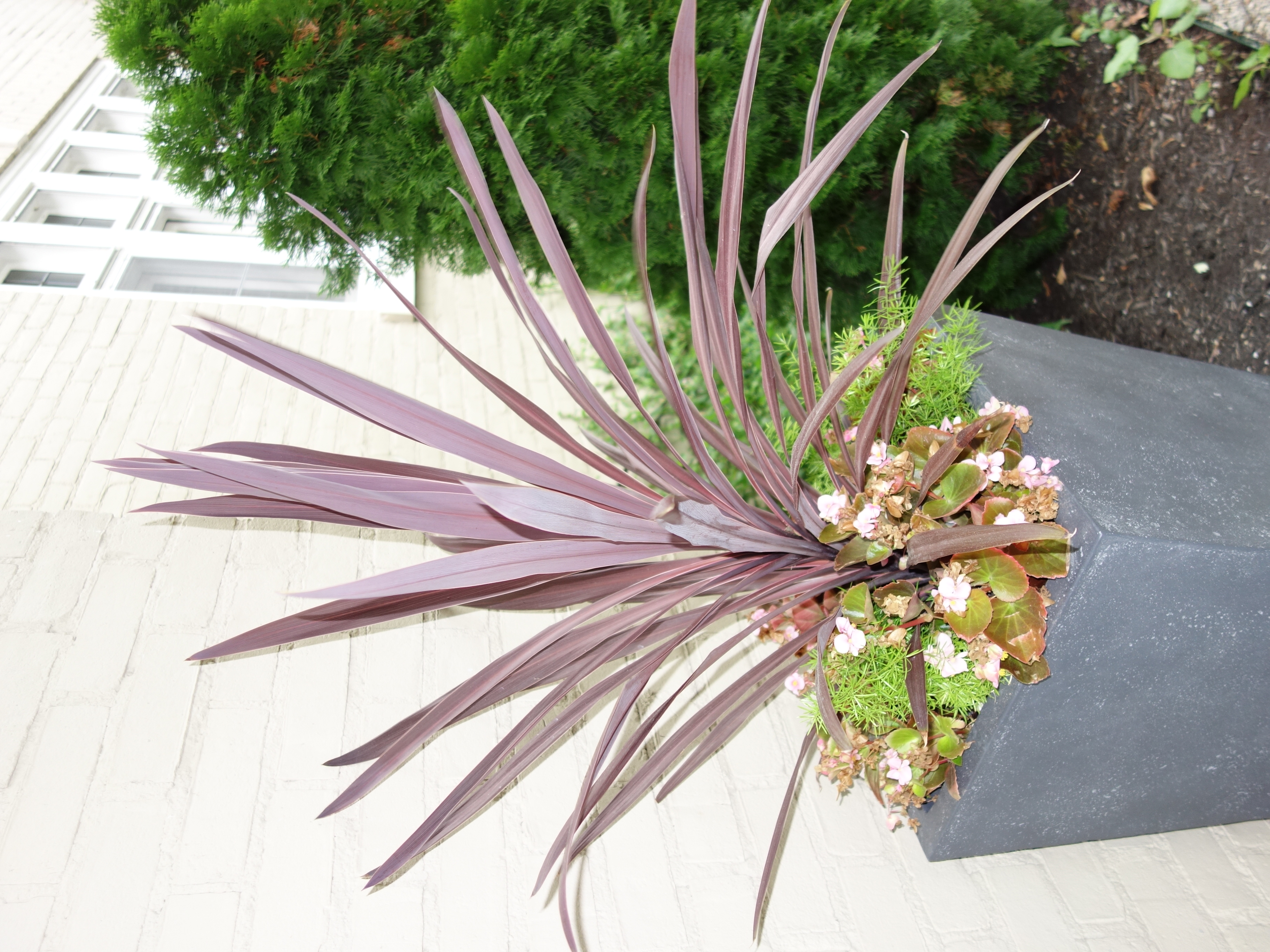 Restoration Hardware Weathered Cast Stone Tapered Planters