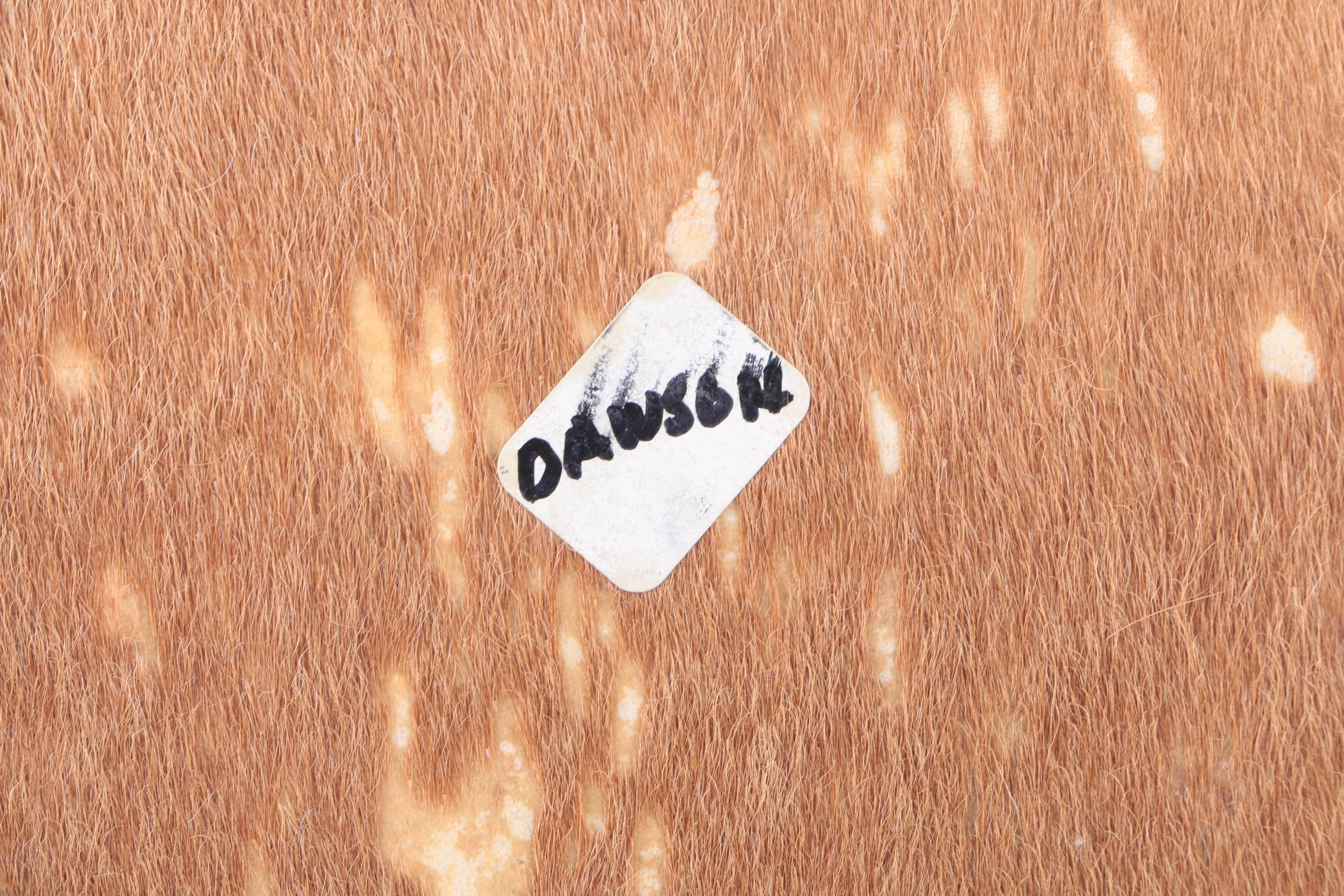 West African Style Dundun Hand Drum